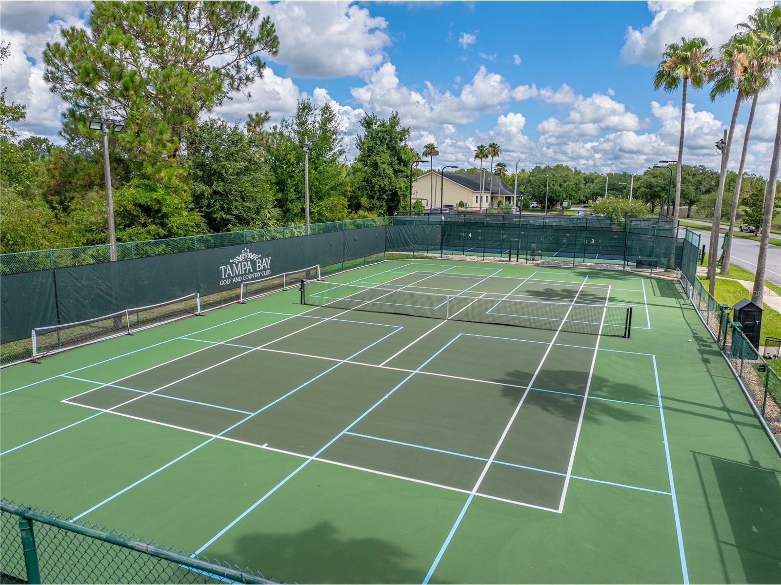 10817 Hock Lane San Antonio FL 33576 TB8497759 image55
