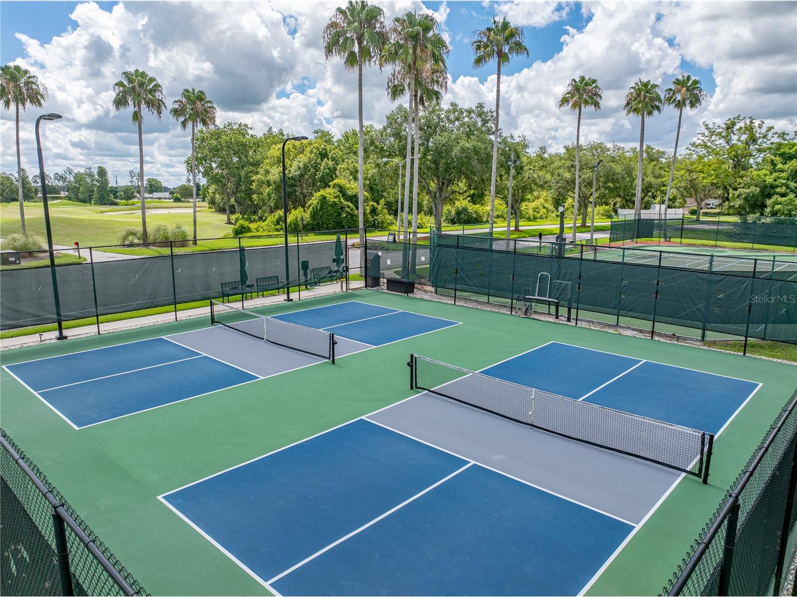 10817 Hock Lane San Antonio FL 33576 TB8497759 image56