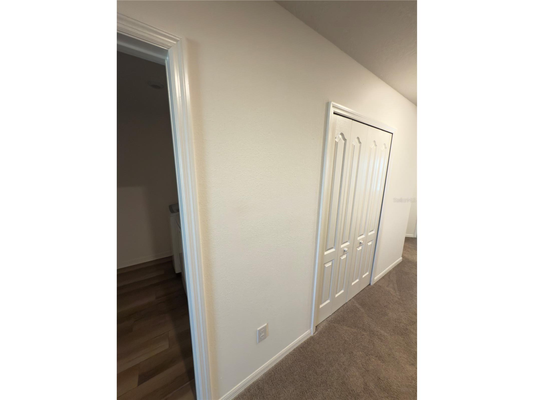 10817 Ironwood Tree Way San Antonio FL 33576 O6408186 image11