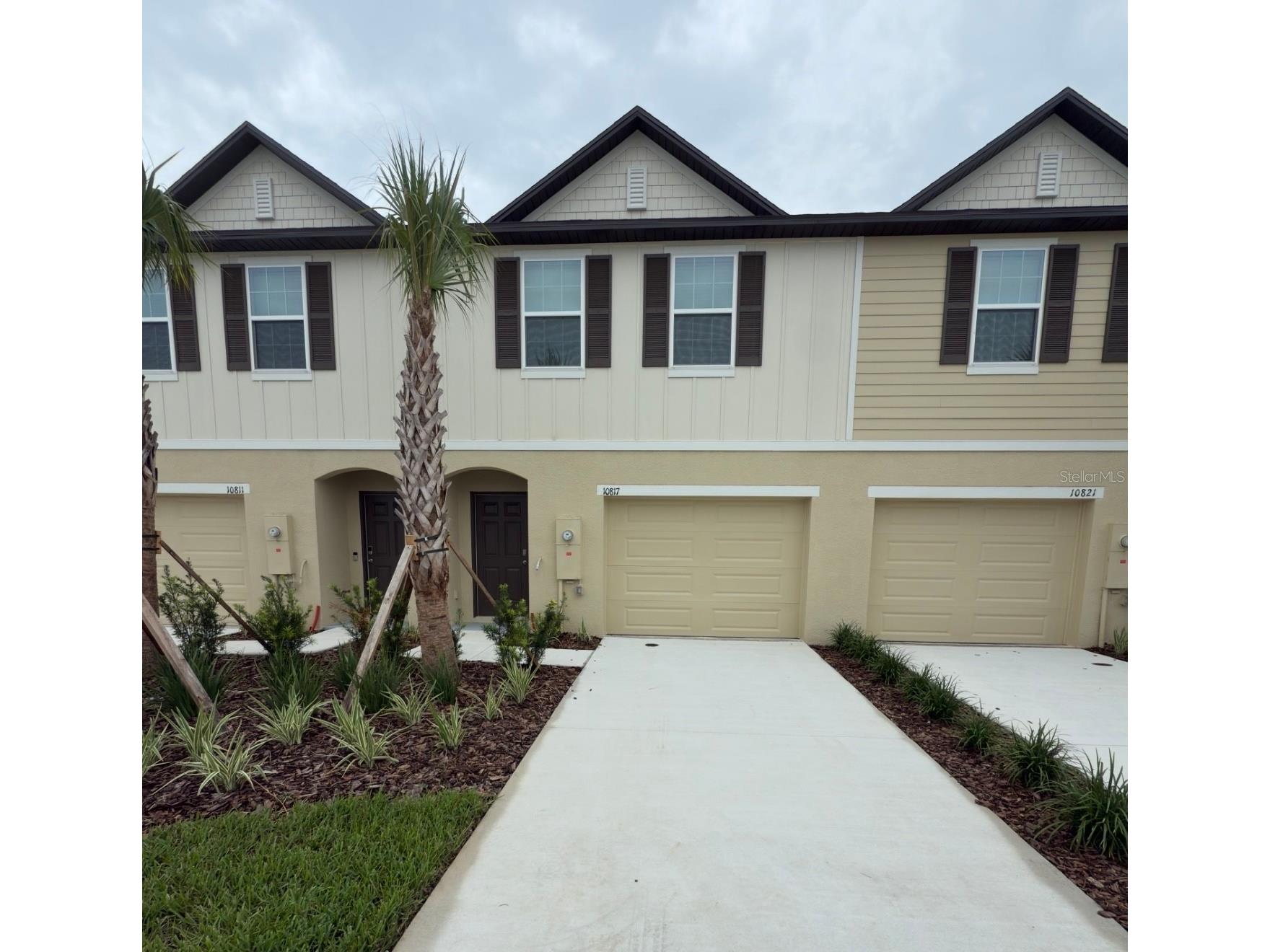 10817 Ironwood Tree Way San Antonio FL 33576 O6408186 image2