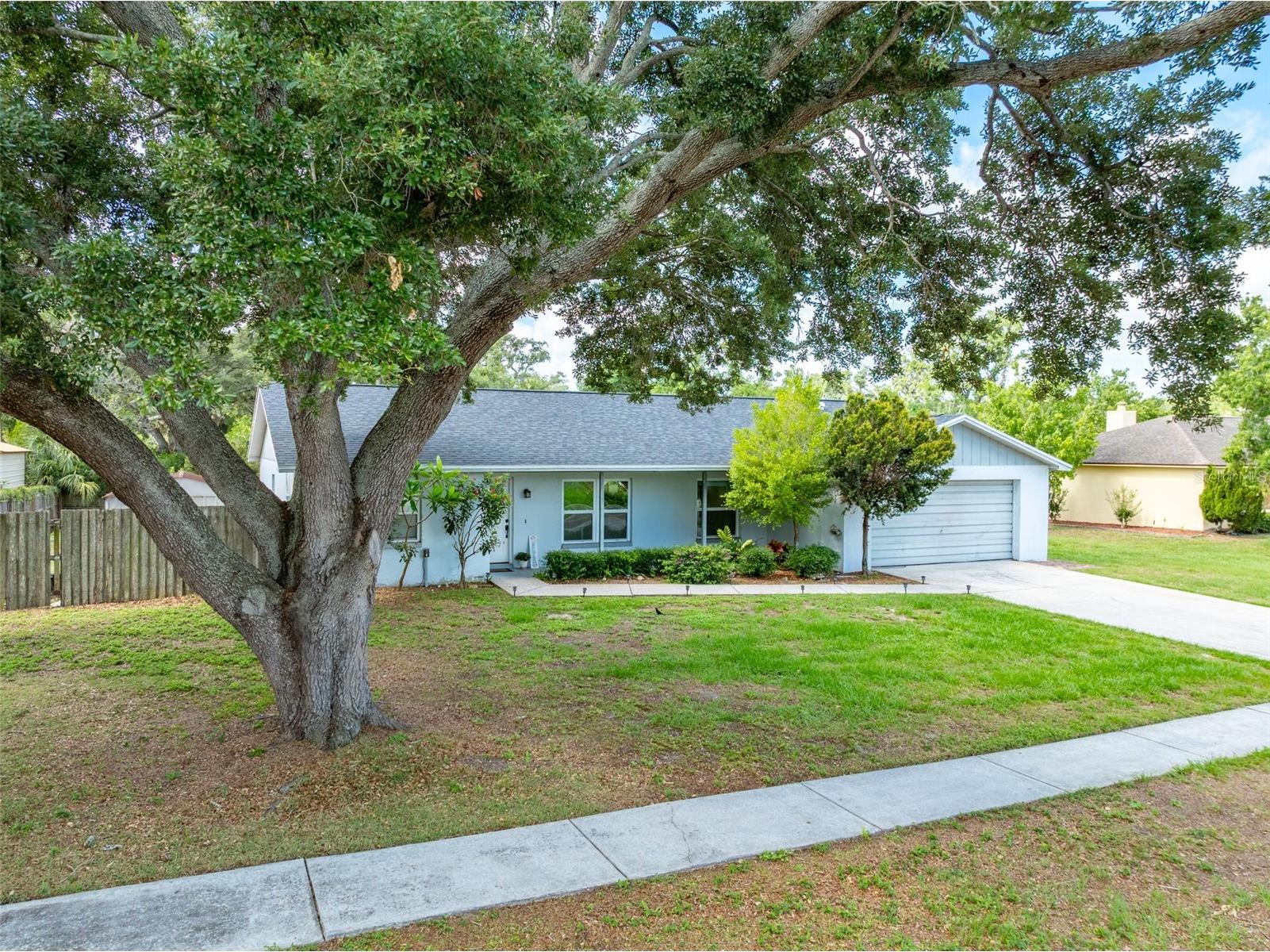 10817 Providence Oaks Drive Riverview FL 33578 TB8511586 image12