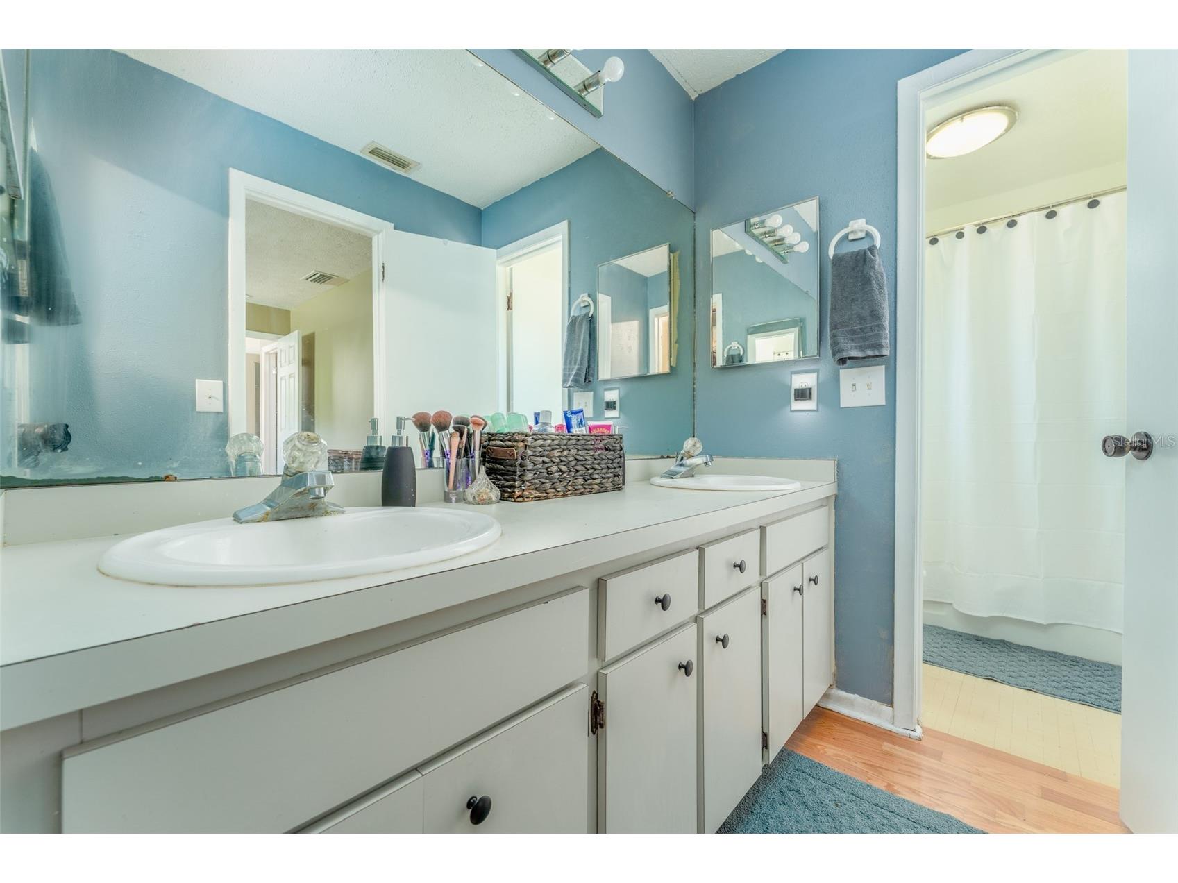 10817 Providence Oaks Drive Riverview FL 33578 TB8511586 image32