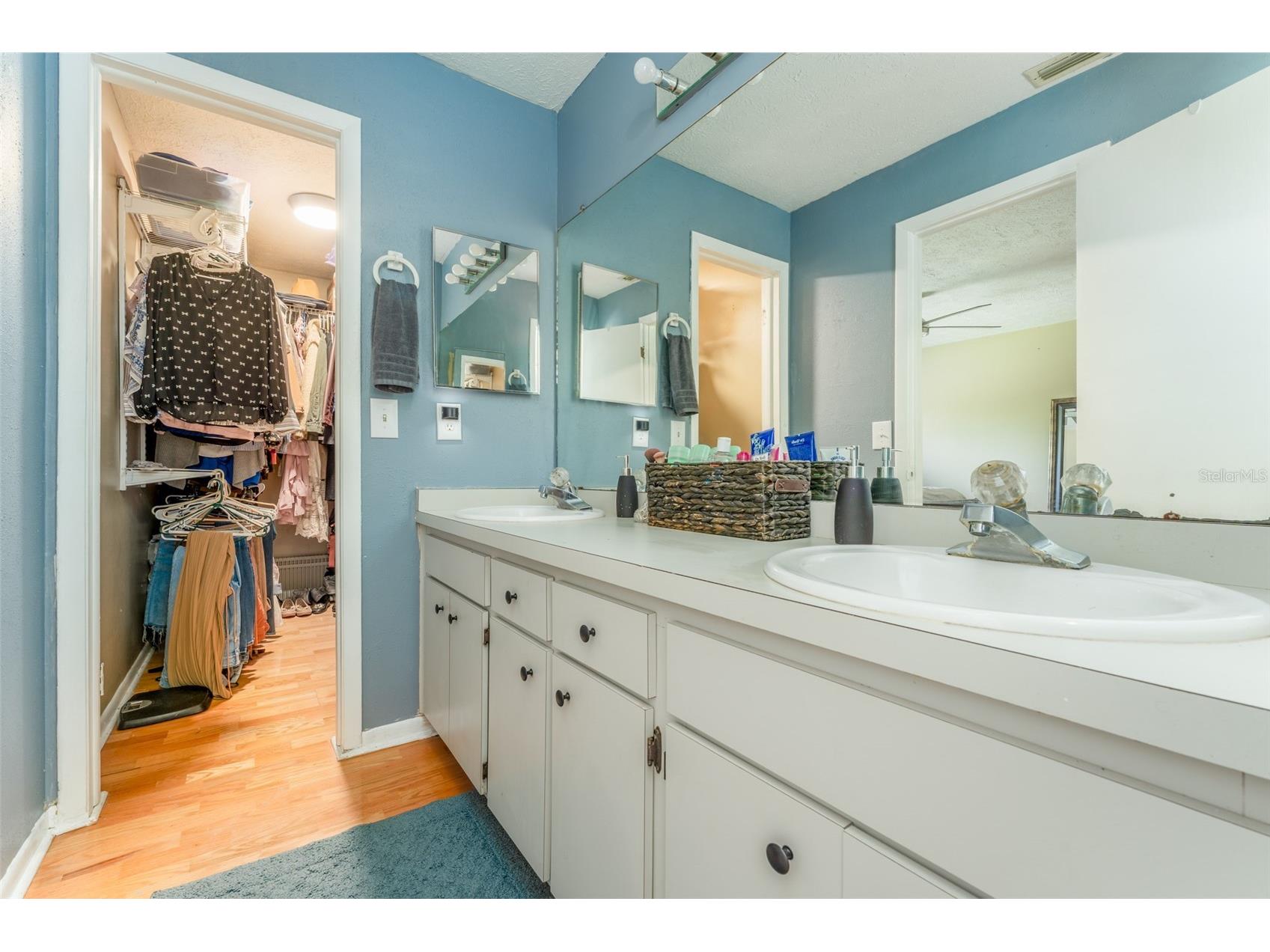 10817 Providence Oaks Drive Riverview FL 33578 TB8511586 image33