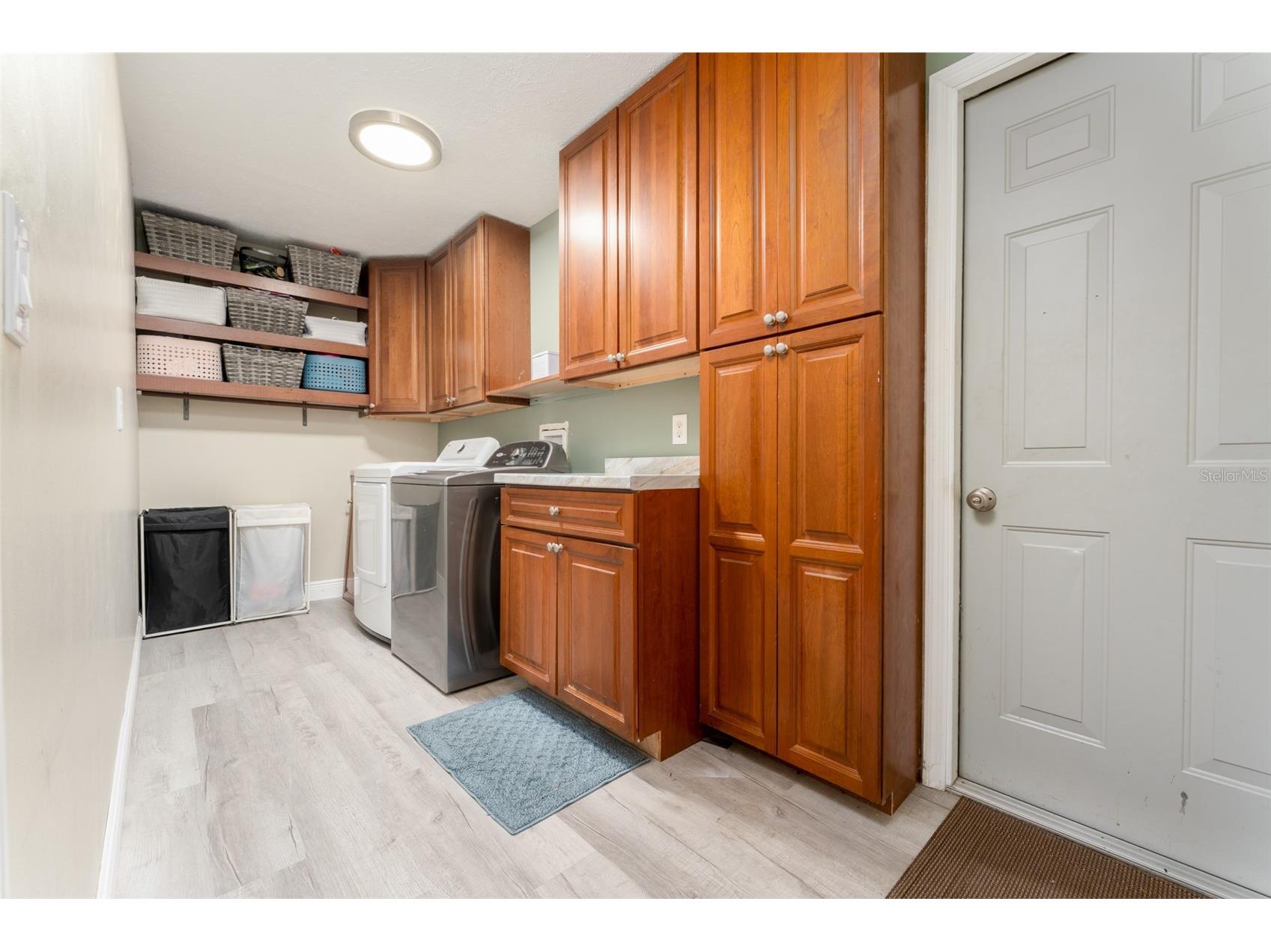 10817 Providence Oaks Drive Riverview FL 33578 TB8511586 image34