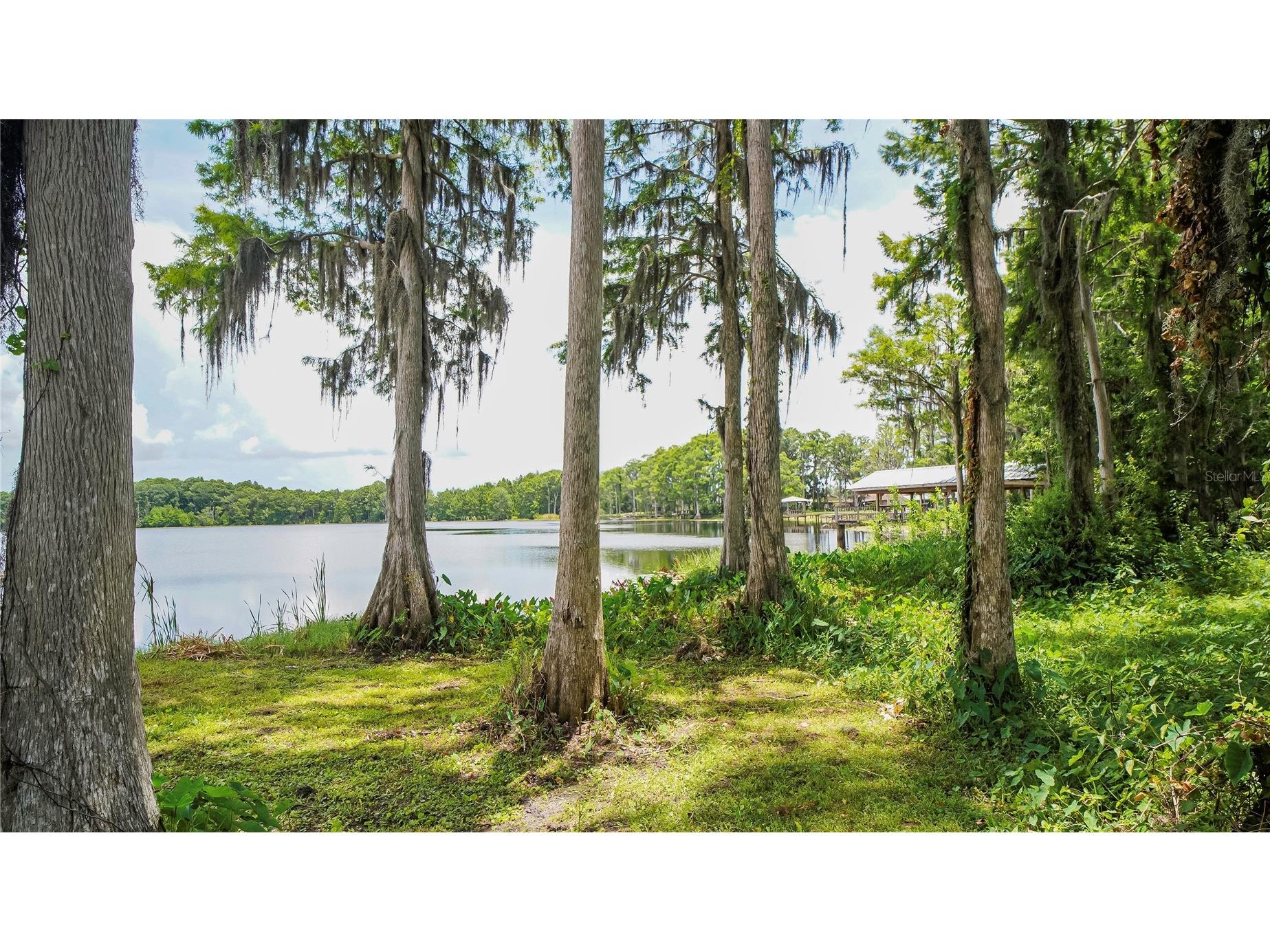 10818 Land O Lakes Boulevard Land O Lakes FL 34638 - Green Lake TB8390412 image31