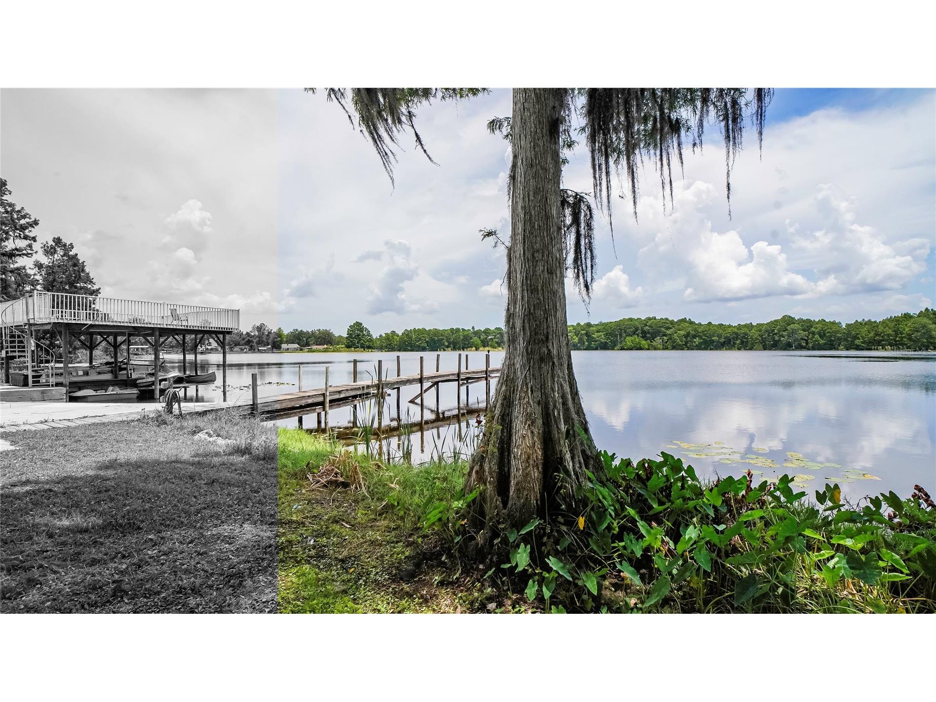 10818 Land O Lakes Boulevard Land O Lakes FL 34638 - Green Lake TB8390412 image33