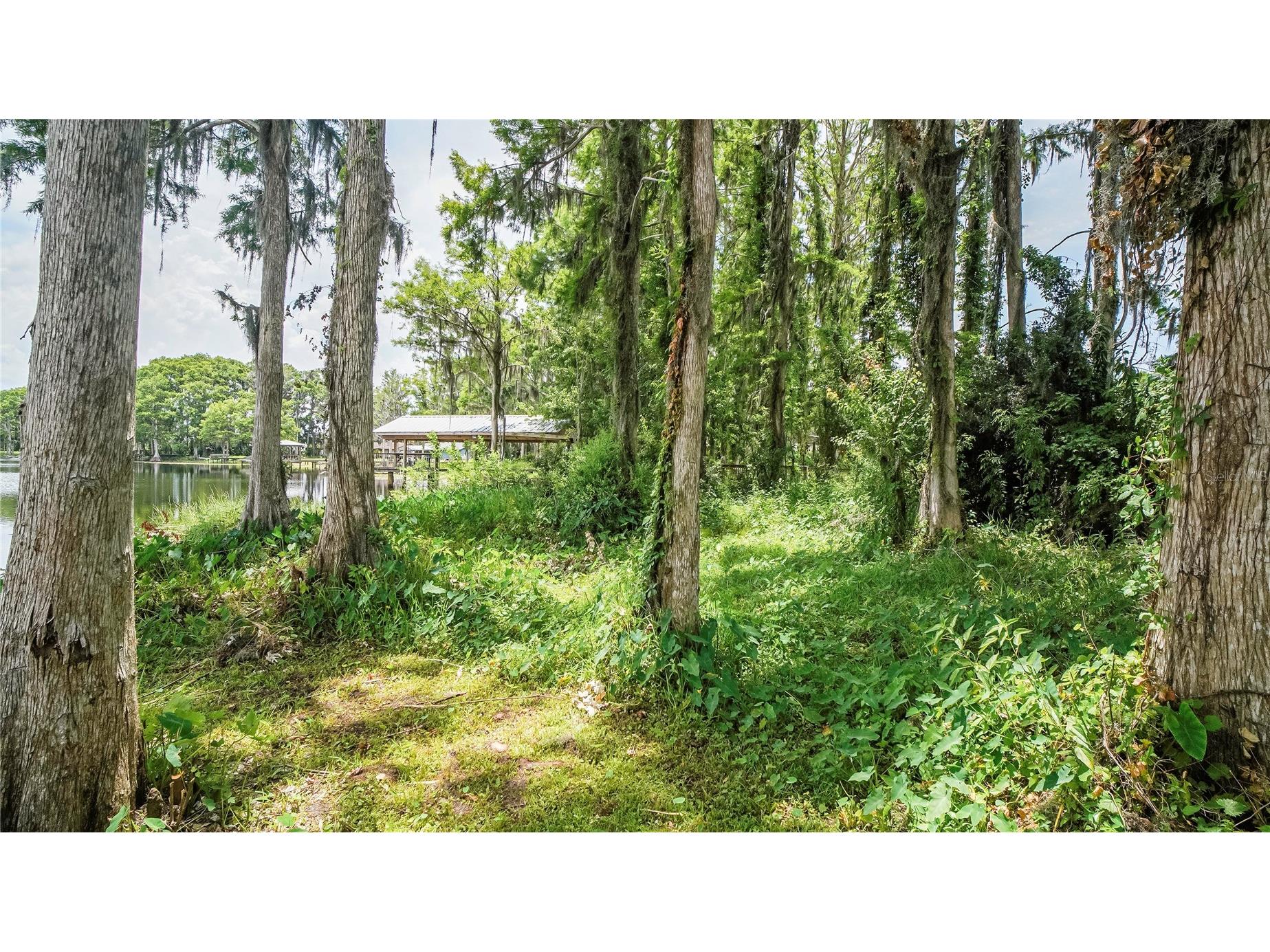 10818 Land O Lakes Boulevard Land O Lakes FL 34638 - Green Lake TB8390412 image34