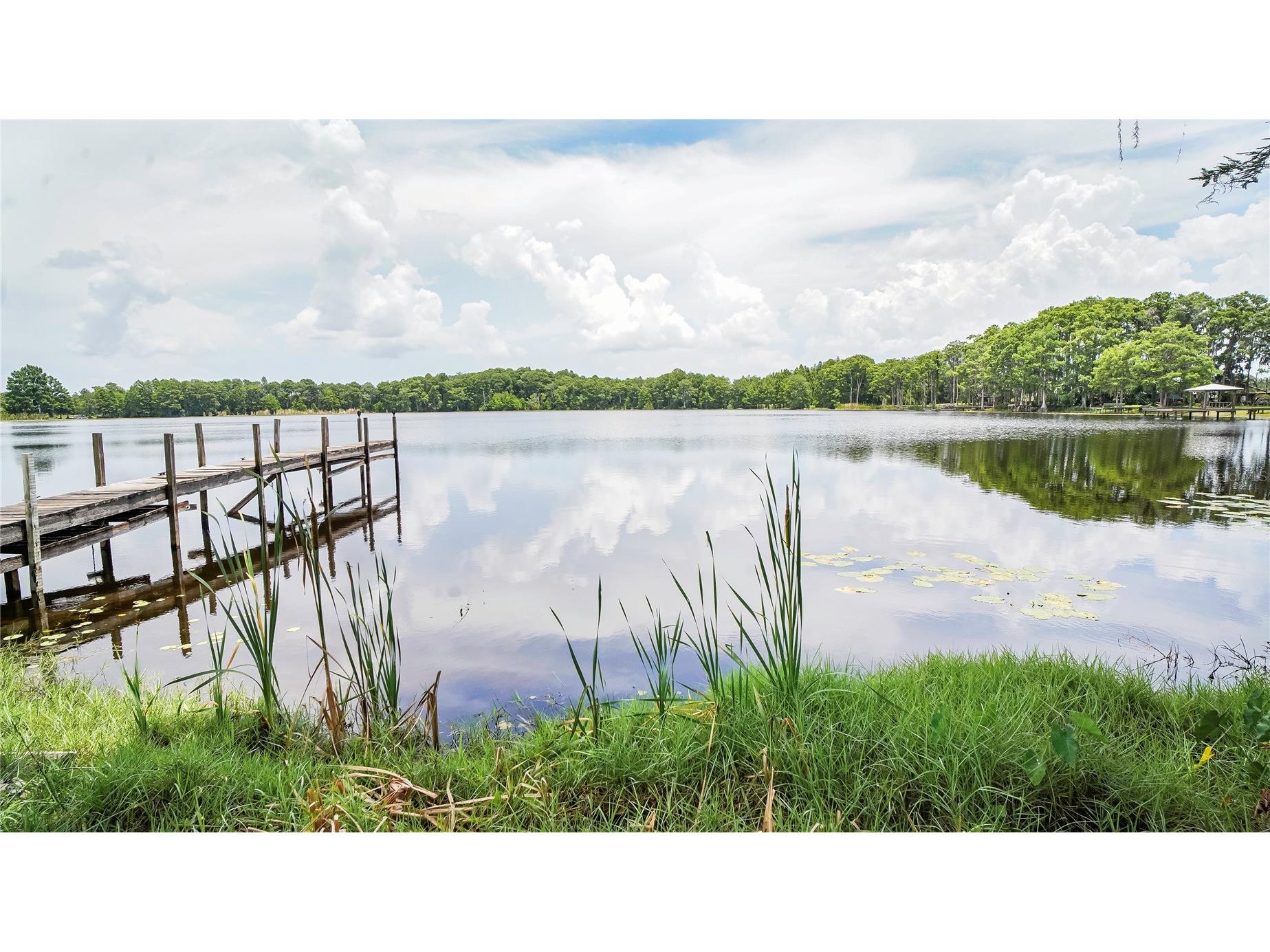 10818 Land O Lakes Boulevard Land O Lakes FL 34638 - Green Lake TB8390412 image35
