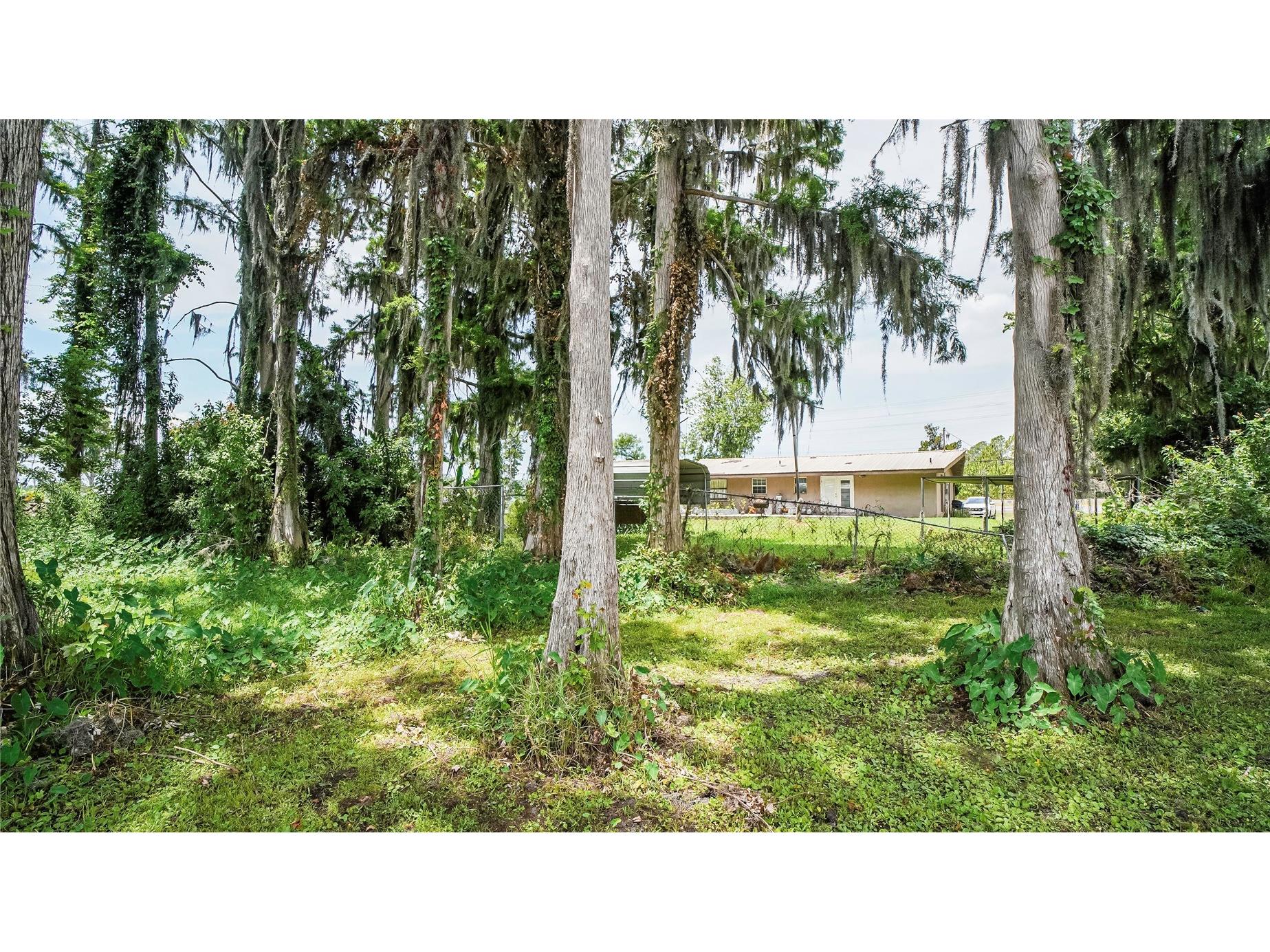 10818 Land O Lakes Boulevard Land O Lakes FL 34638 - Green Lake TB8390412 image36