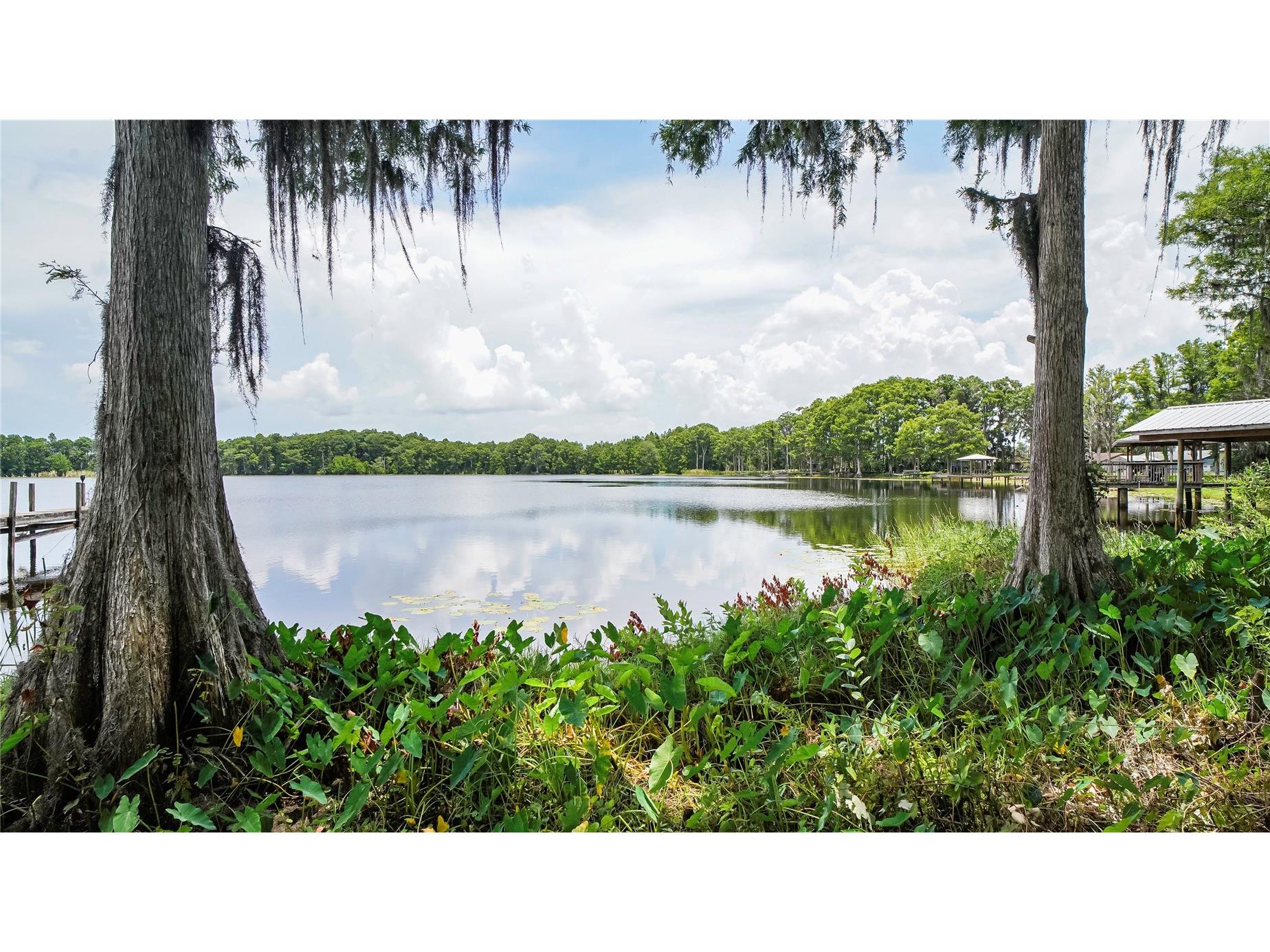 10818 Land O Lakes Boulevard Land O Lakes FL 34638 - Green Lake TB8390412 image6