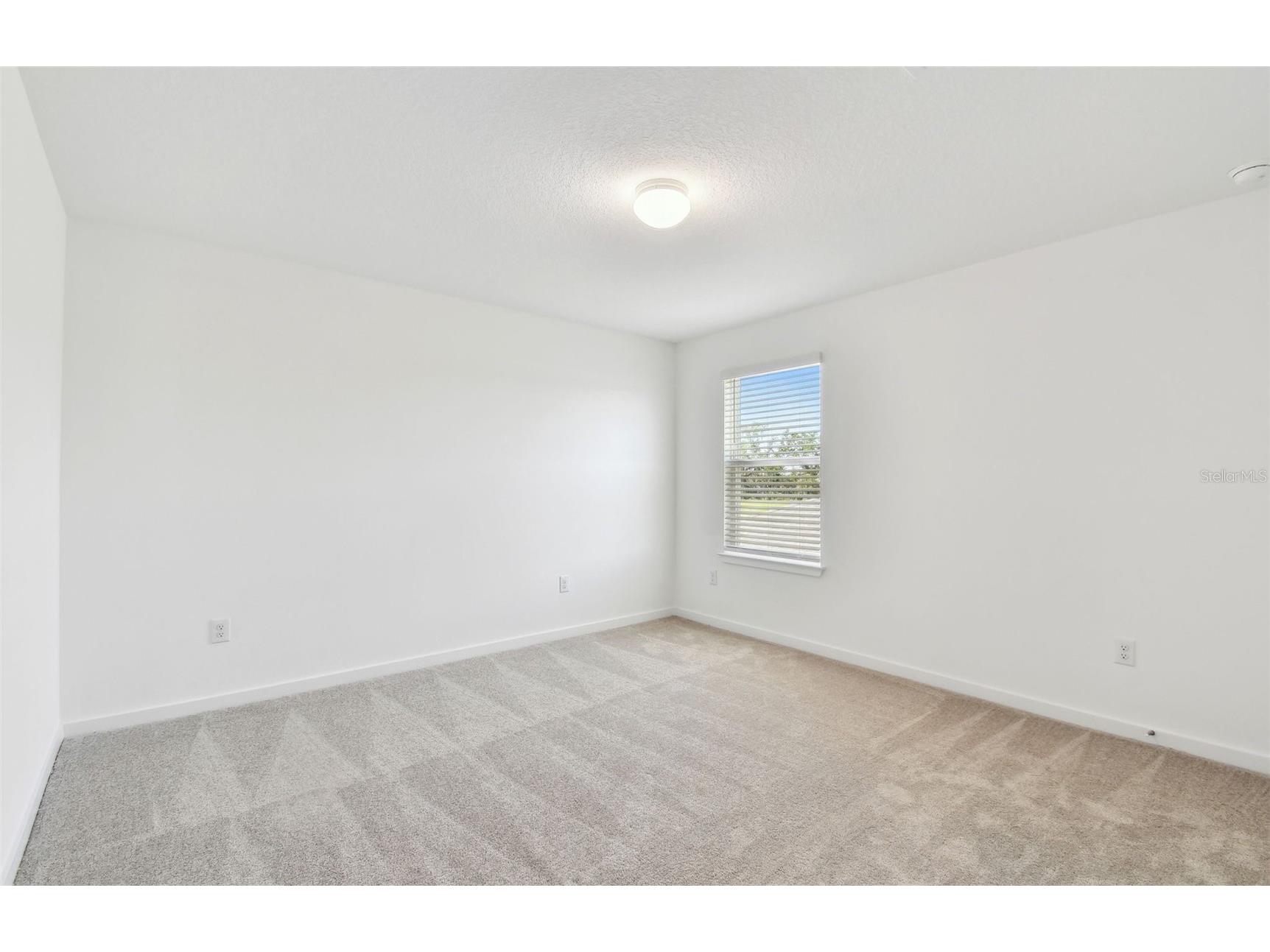 10818 Sapphire Breeze Cove Parrish FL 34219 TB8497927 image13