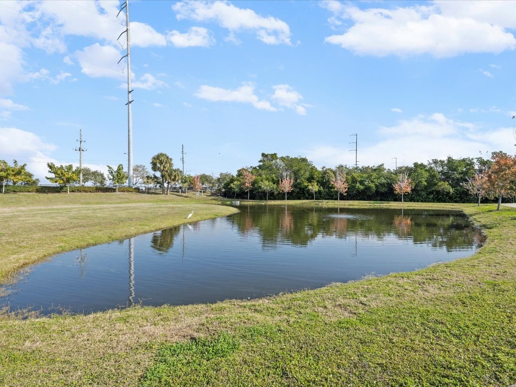 10819 86th Avenue Seminole FL 33772 TB8462258 image39