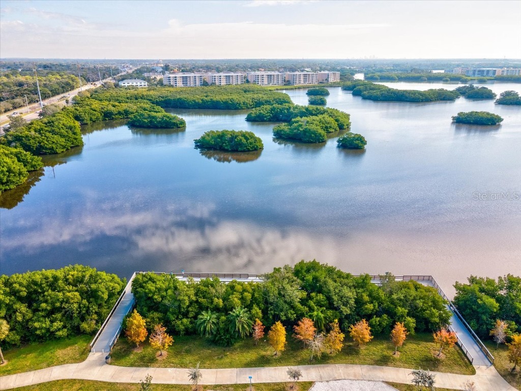 10819 86th Avenue Seminole FL 33772 TB8462258 image44