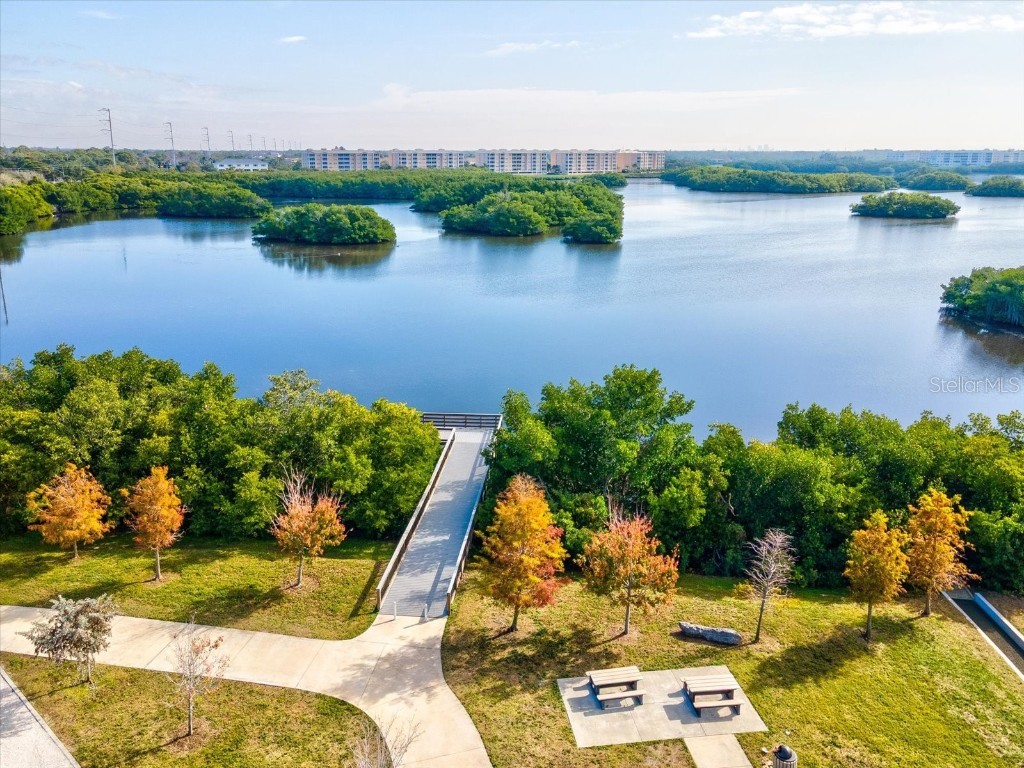 10819 86th Avenue Seminole FL 33772 TB8462258 image45