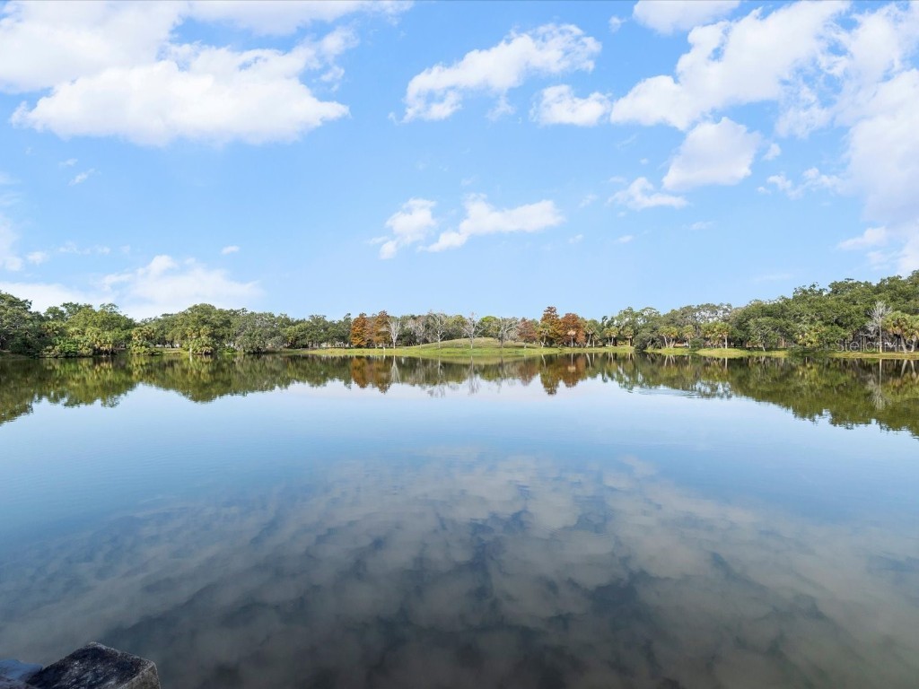 10819 86th Avenue Seminole FL 33772 TB8462258 image49