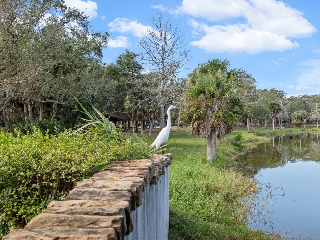 10819 86th Avenue Seminole FL 33772 TB8462258 image50