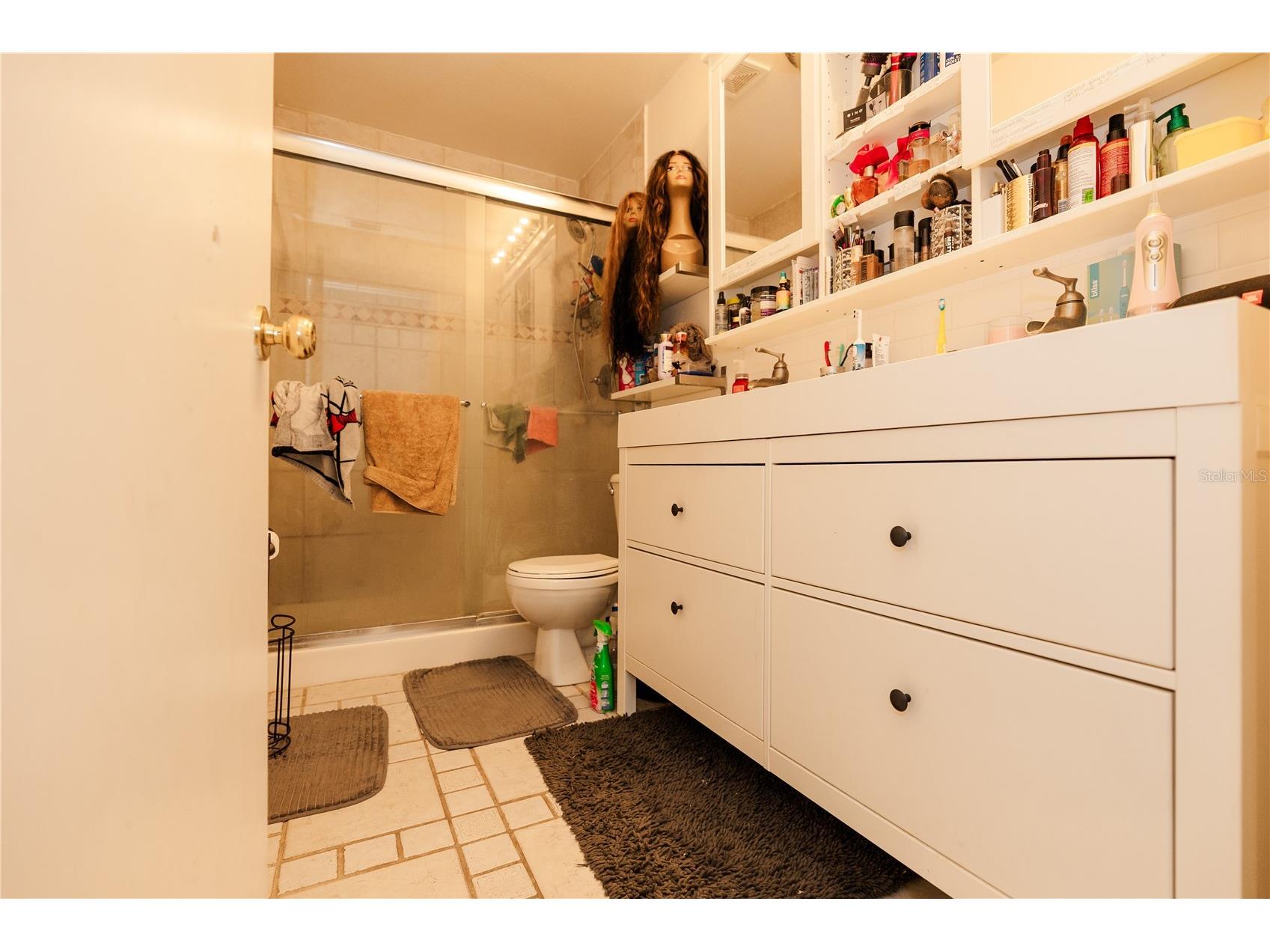 10819 Brickside Court Riverview FL 33579 TB8485126 image14