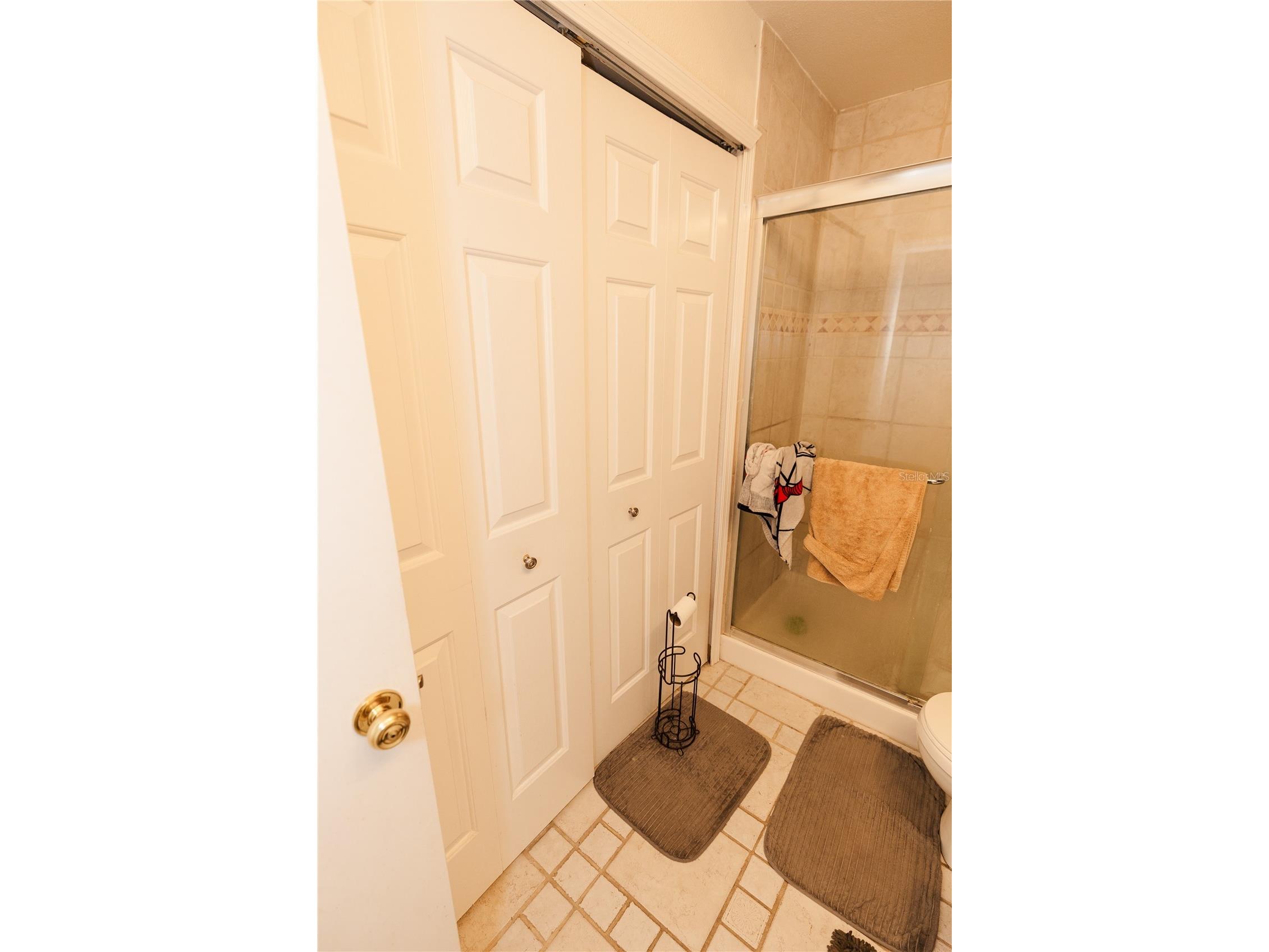 10819 Brickside Court Riverview FL 33579 TB8485126 image15