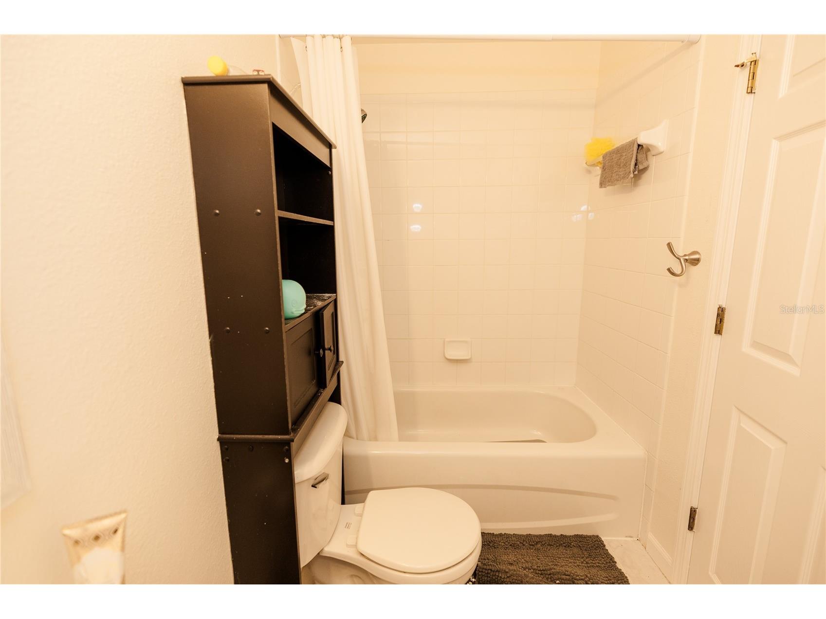 10819 Brickside Court Riverview FL 33579 TB8485126 image19