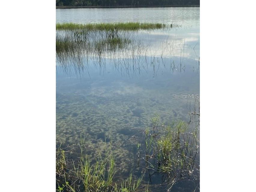 10819 SE 190th Court Ocklawaha FL 32179 - LAKE CATHERINE G5109089 image13