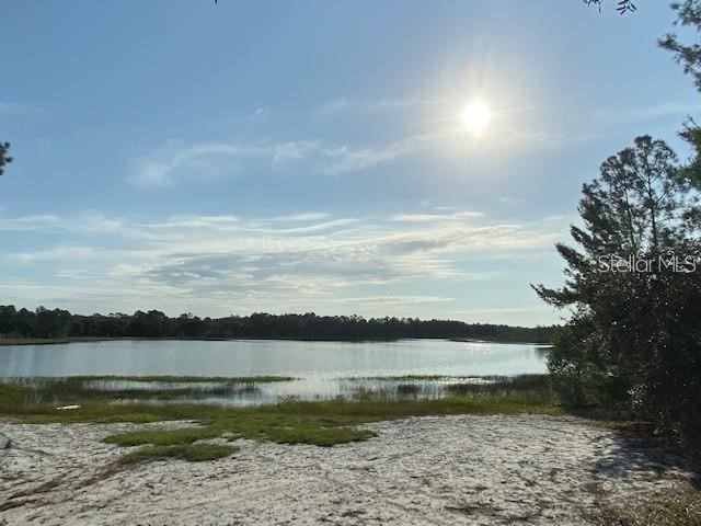 10819 SE 190th Court Ocklawaha FL 32179 - LAKE CATHERINE G5109089 image3