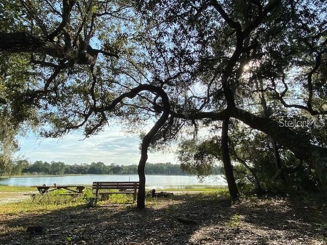 10819 SE 190th Court Ocklawaha FL 32179 - LAKE CATHERINE G5109089 image4