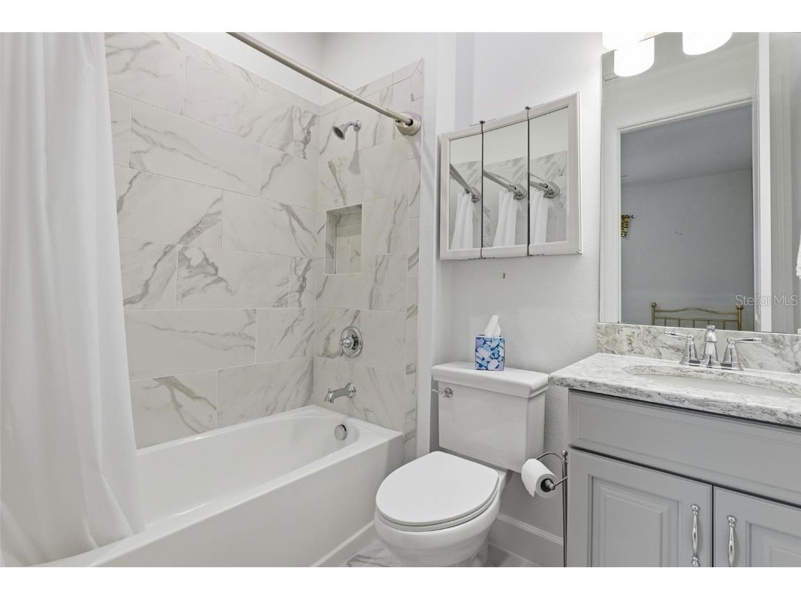 10819 Wicker Park Place Palmetto FL 34221 TB8439612 image9