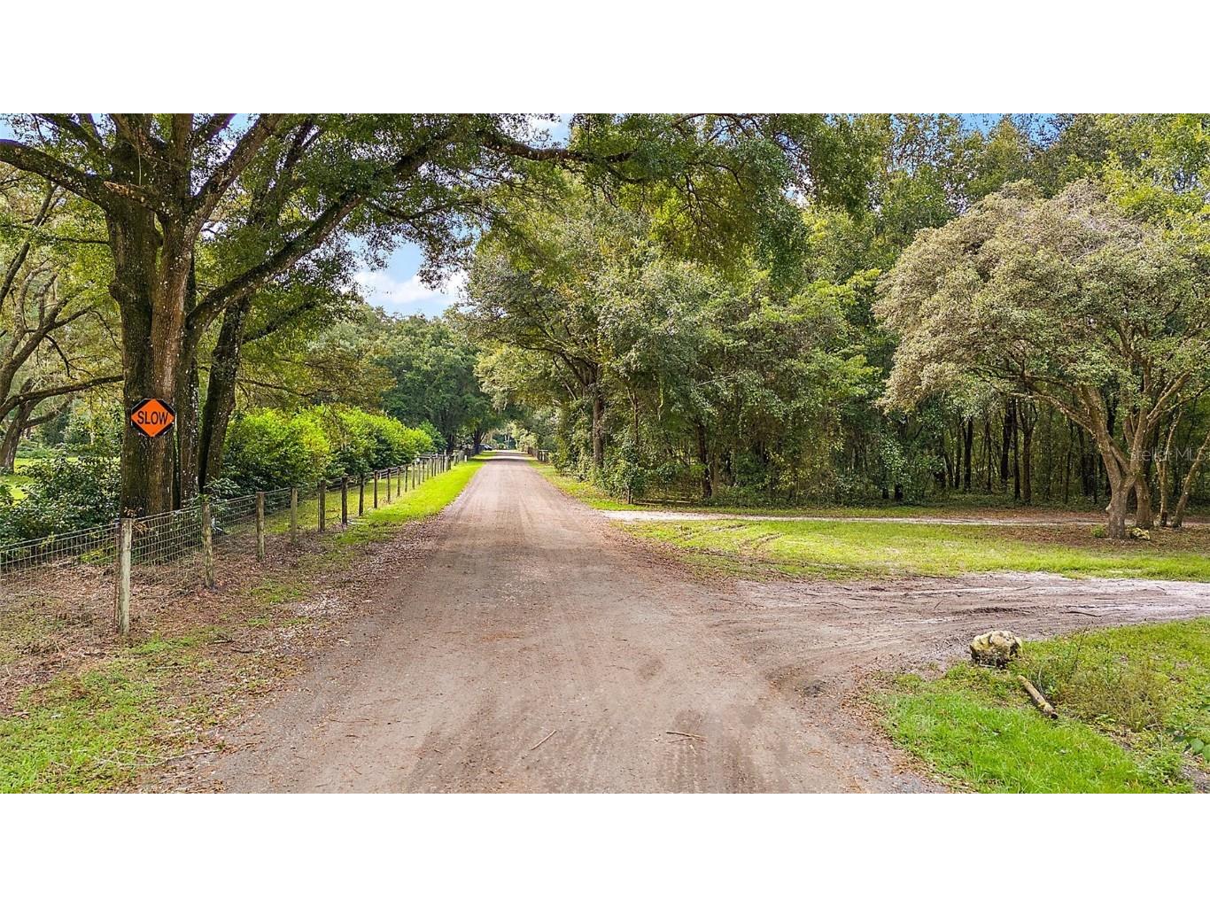 1082 NE 135th Grove Oxford FL 34484 G5088396 image1