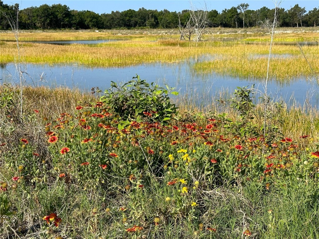 10820 43rd Street N #902 Clearwater FL 33762 TB8454681 image30