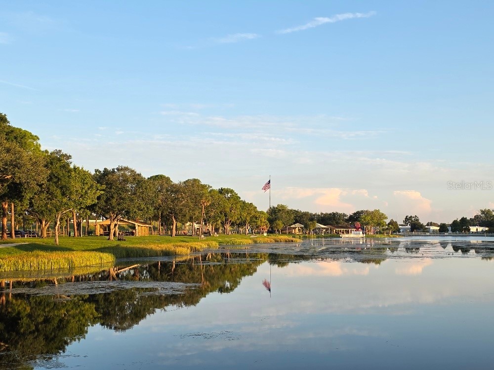 10820 43rd Street N #902 Clearwater FL 33762 TB8454681 image34