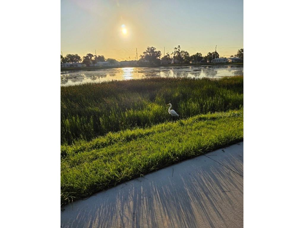 10820 43rd Street N #902 Clearwater FL 33762 TB8454681 image43