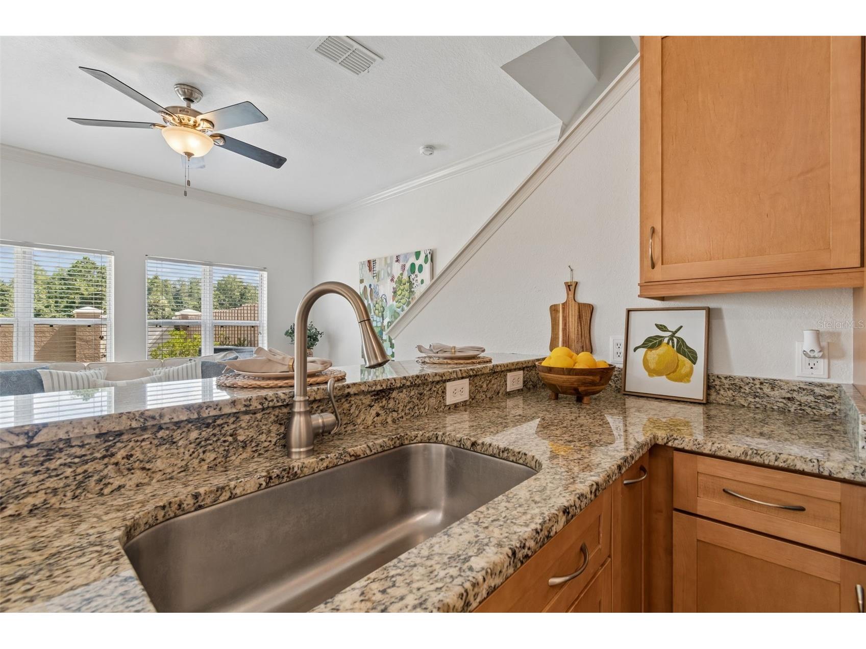10820 Celtic Woods Avenue Tampa FL 33647 TB8532407 image17