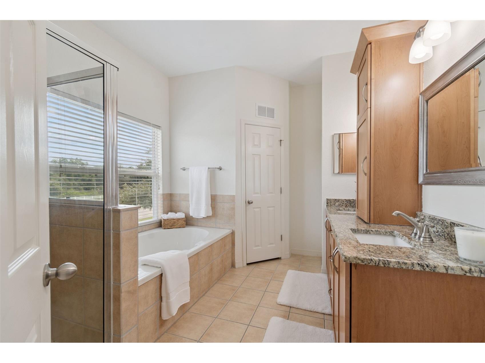 10820 Celtic Woods Avenue Tampa FL 33647 TB8532407 image28
