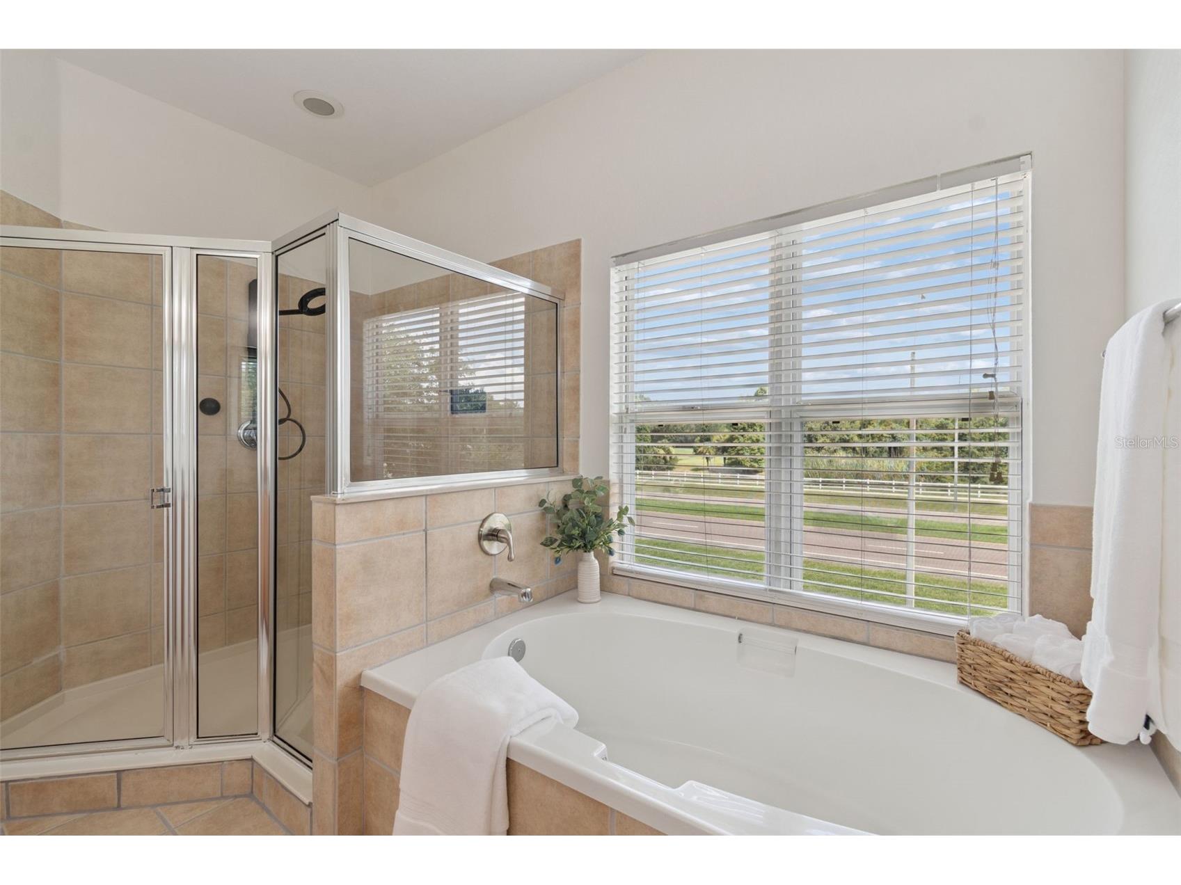 10820 Celtic Woods Avenue Tampa FL 33647 TB8532407 image31