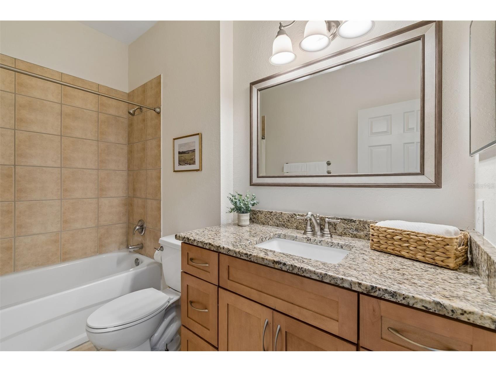 10820 Celtic Woods Avenue Tampa FL 33647 TB8532407 image39
