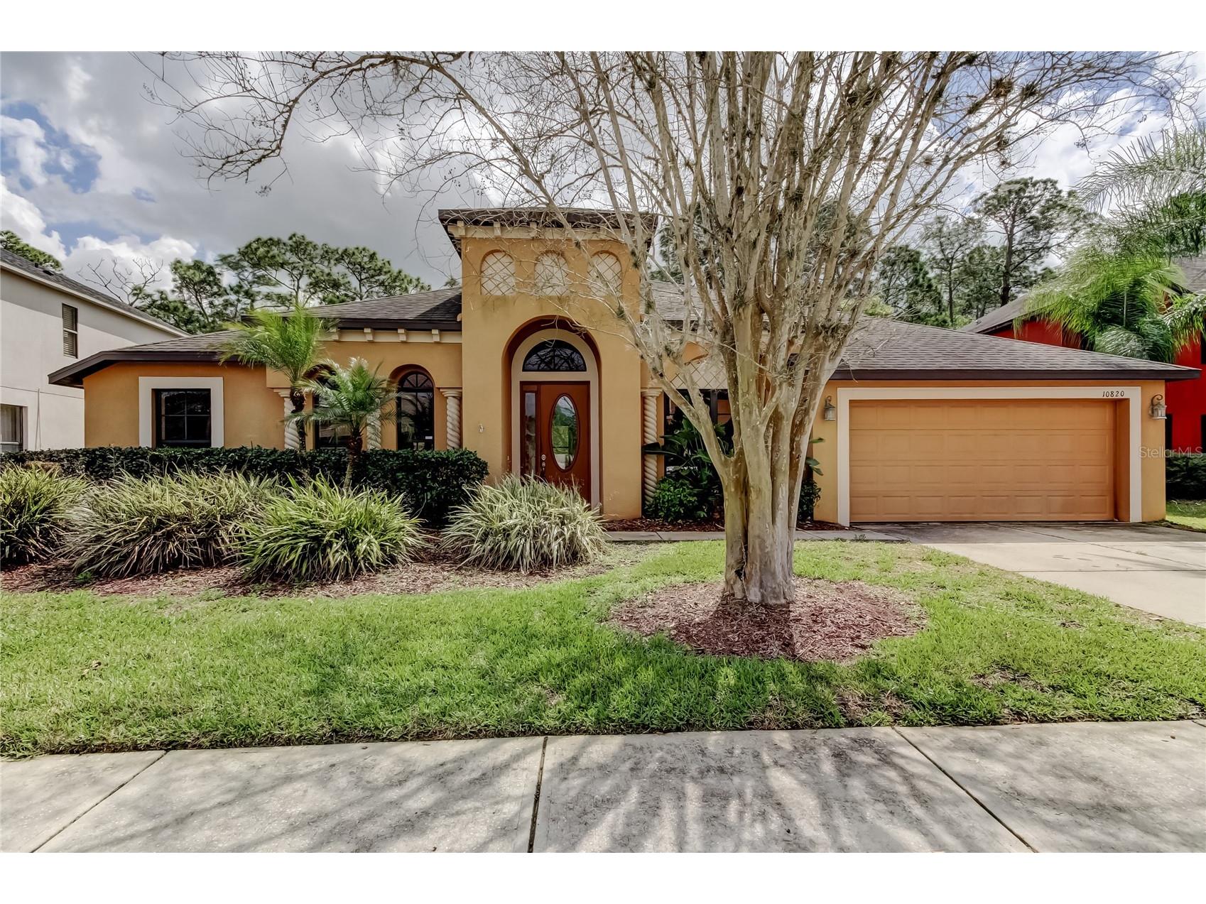 10820 Rain Lilly Pass Land O Lakes FL 34638 TB8483340 image1