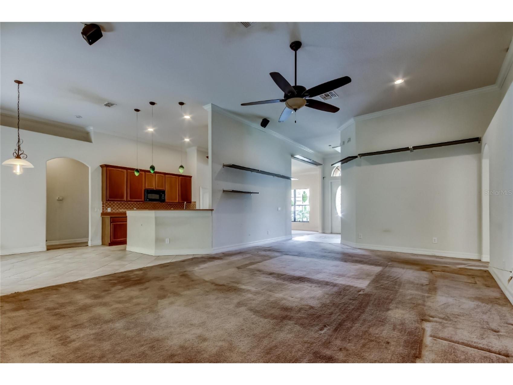 10820 Rain Lilly Pass Land O Lakes FL 34638 TB8483340 image10
