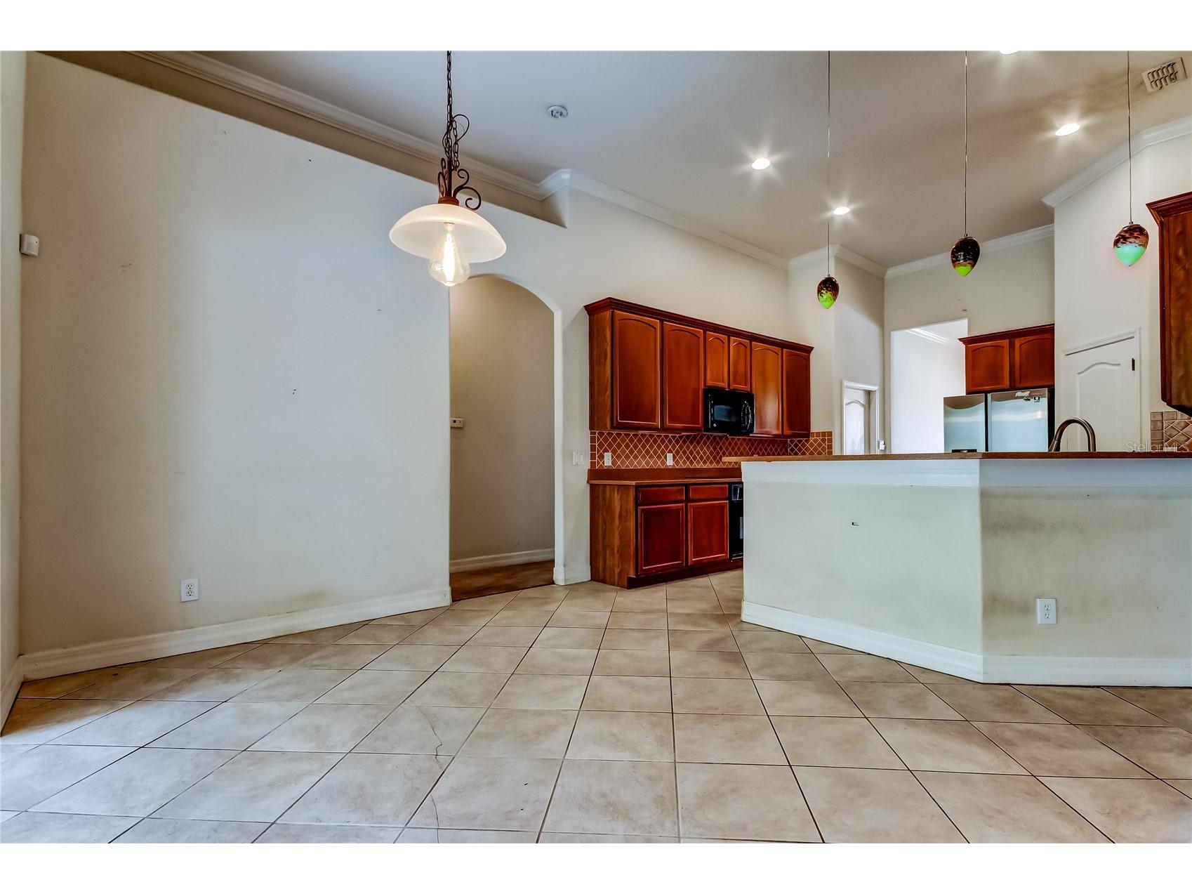 10820 Rain Lilly Pass Land O Lakes FL 34638 TB8483340 image13