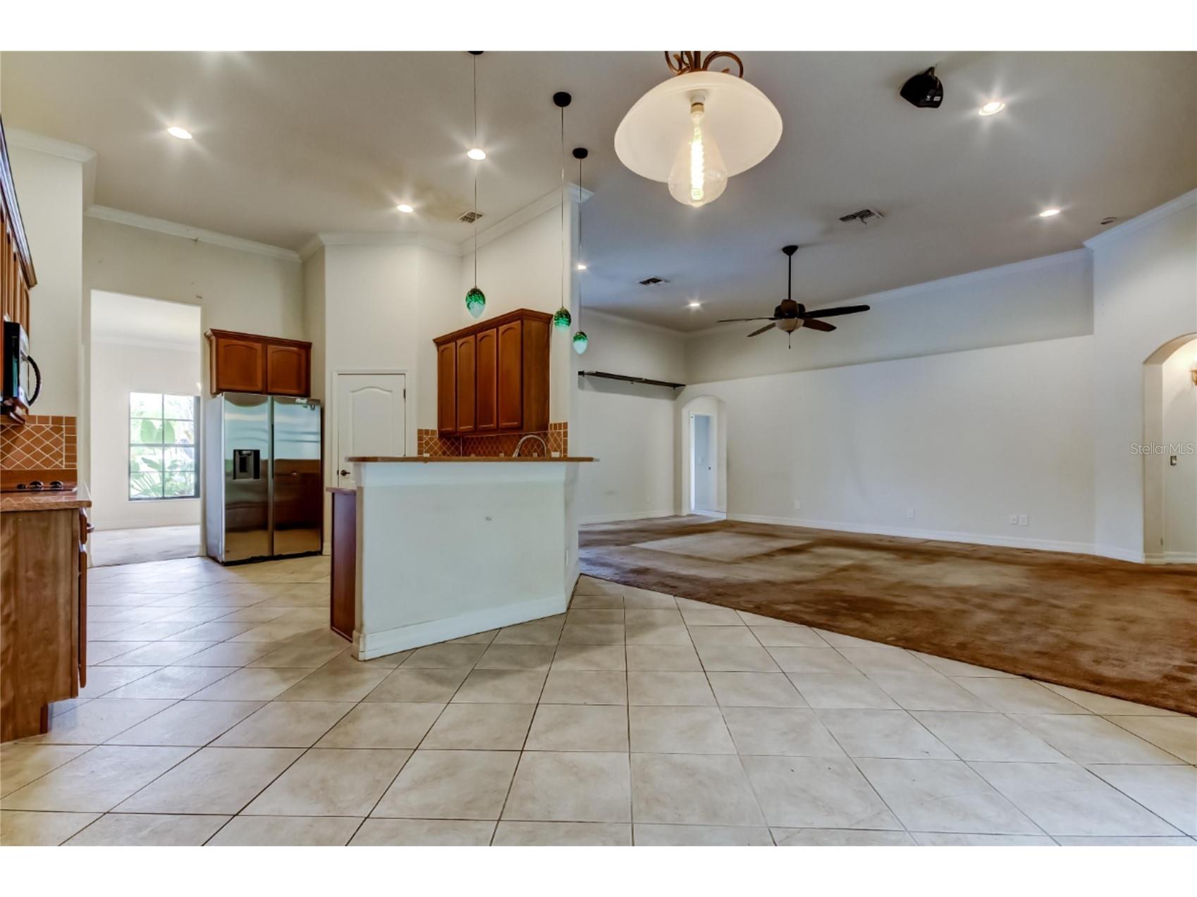 10820 Rain Lilly Pass Land O Lakes FL 34638 TB8483340 image16