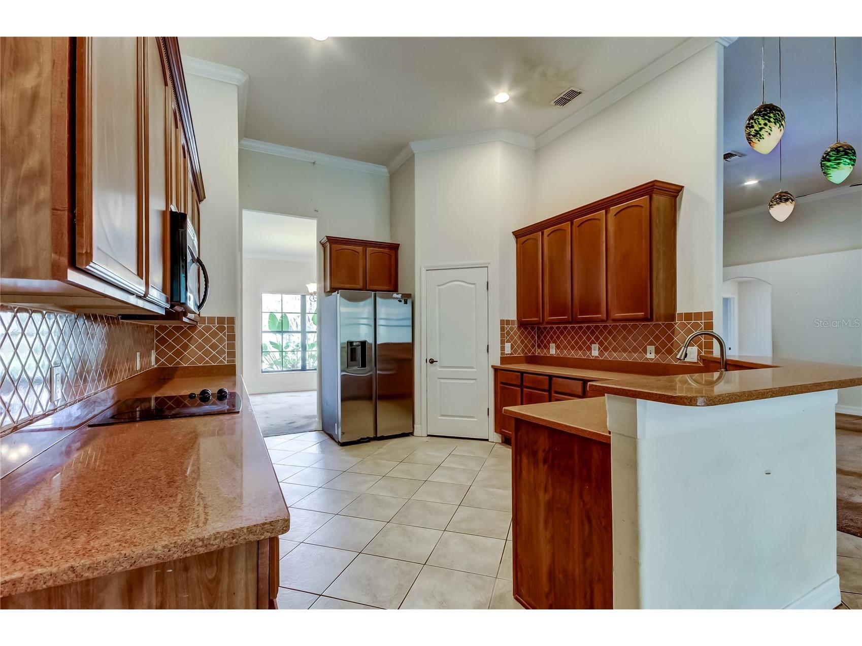 10820 Rain Lilly Pass Land O Lakes FL 34638 TB8483340 image17