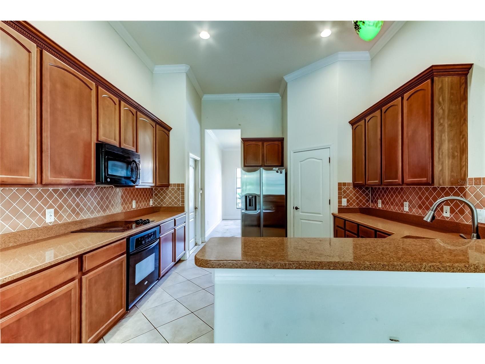 10820 Rain Lilly Pass Land O Lakes FL 34638 TB8483340 image18