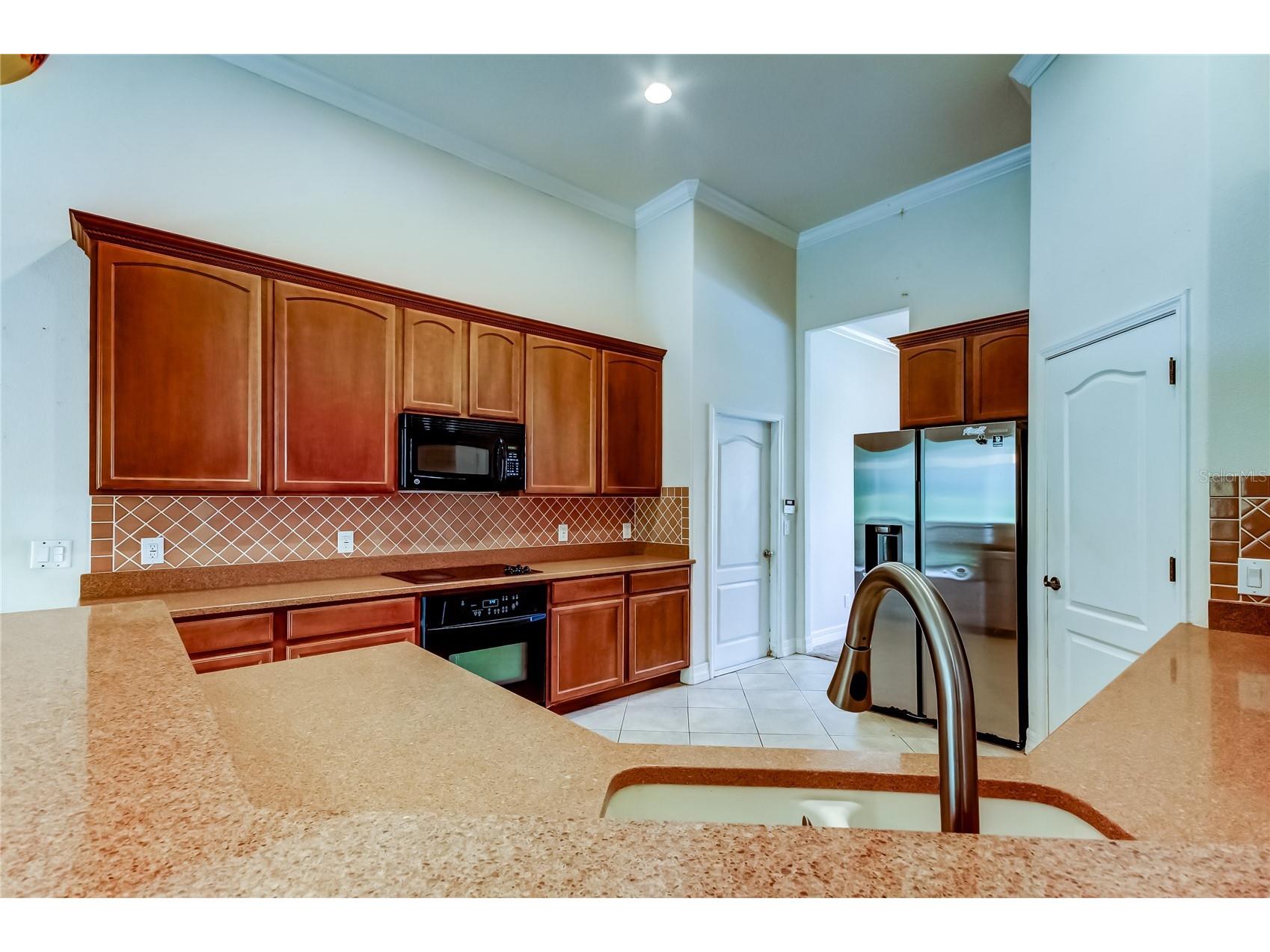 10820 Rain Lilly Pass Land O Lakes FL 34638 TB8483340 image19