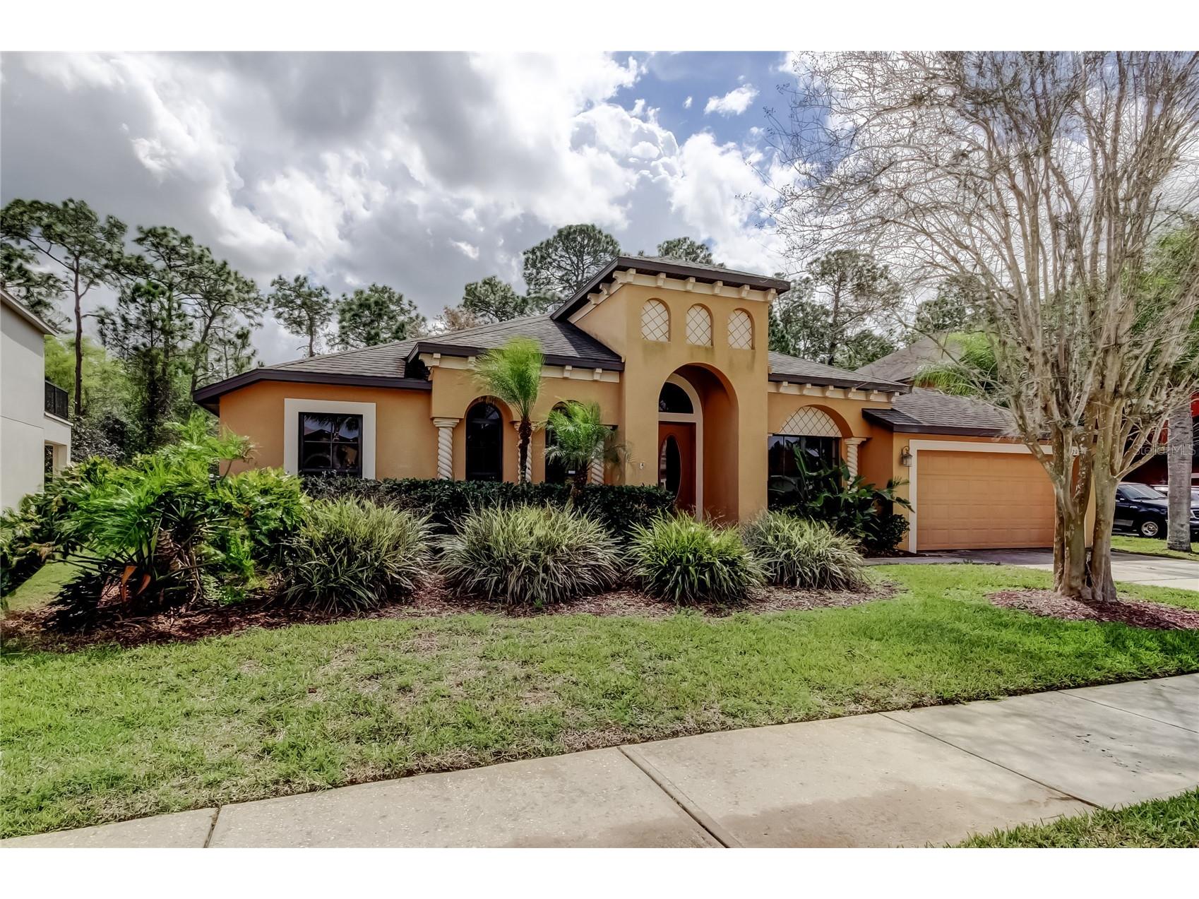 10820 Rain Lilly Pass Land O Lakes FL 34638 TB8483340 image2