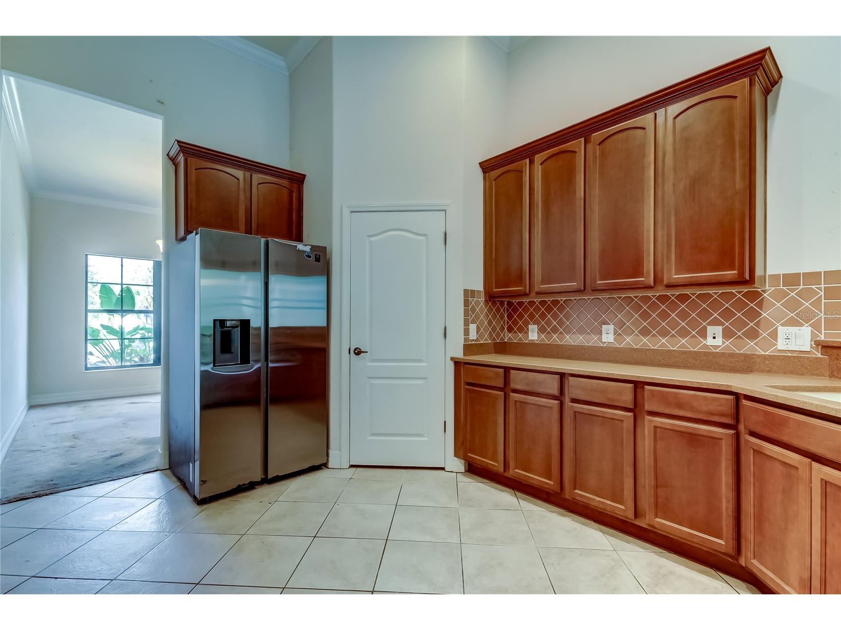10820 Rain Lilly Pass Land O Lakes FL 34638 TB8483340 image20