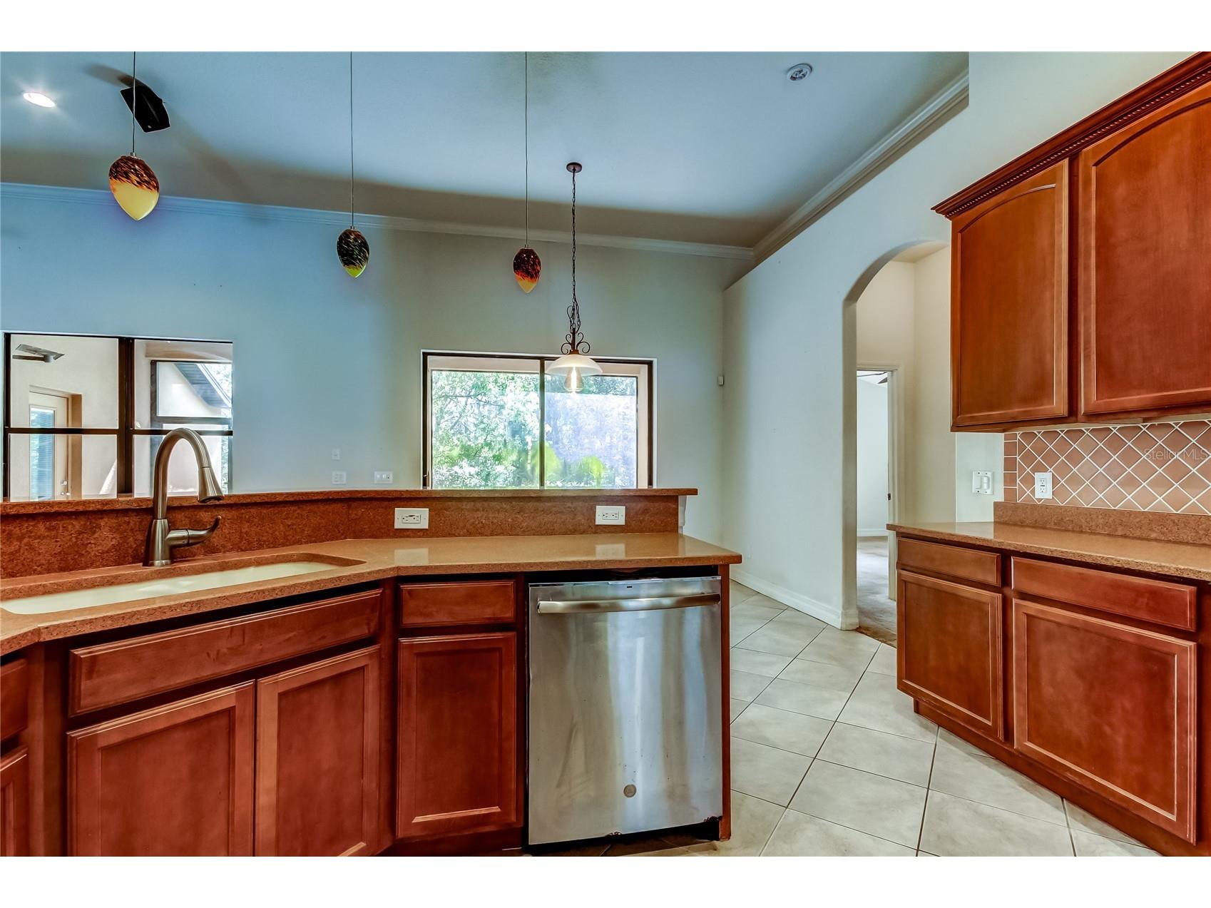 10820 Rain Lilly Pass Land O Lakes FL 34638 TB8483340 image22