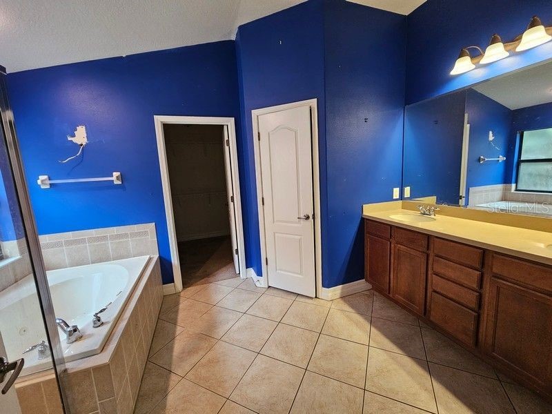 10820 Rain Lilly Pass Land O Lakes FL 34638 TB8483340 image25