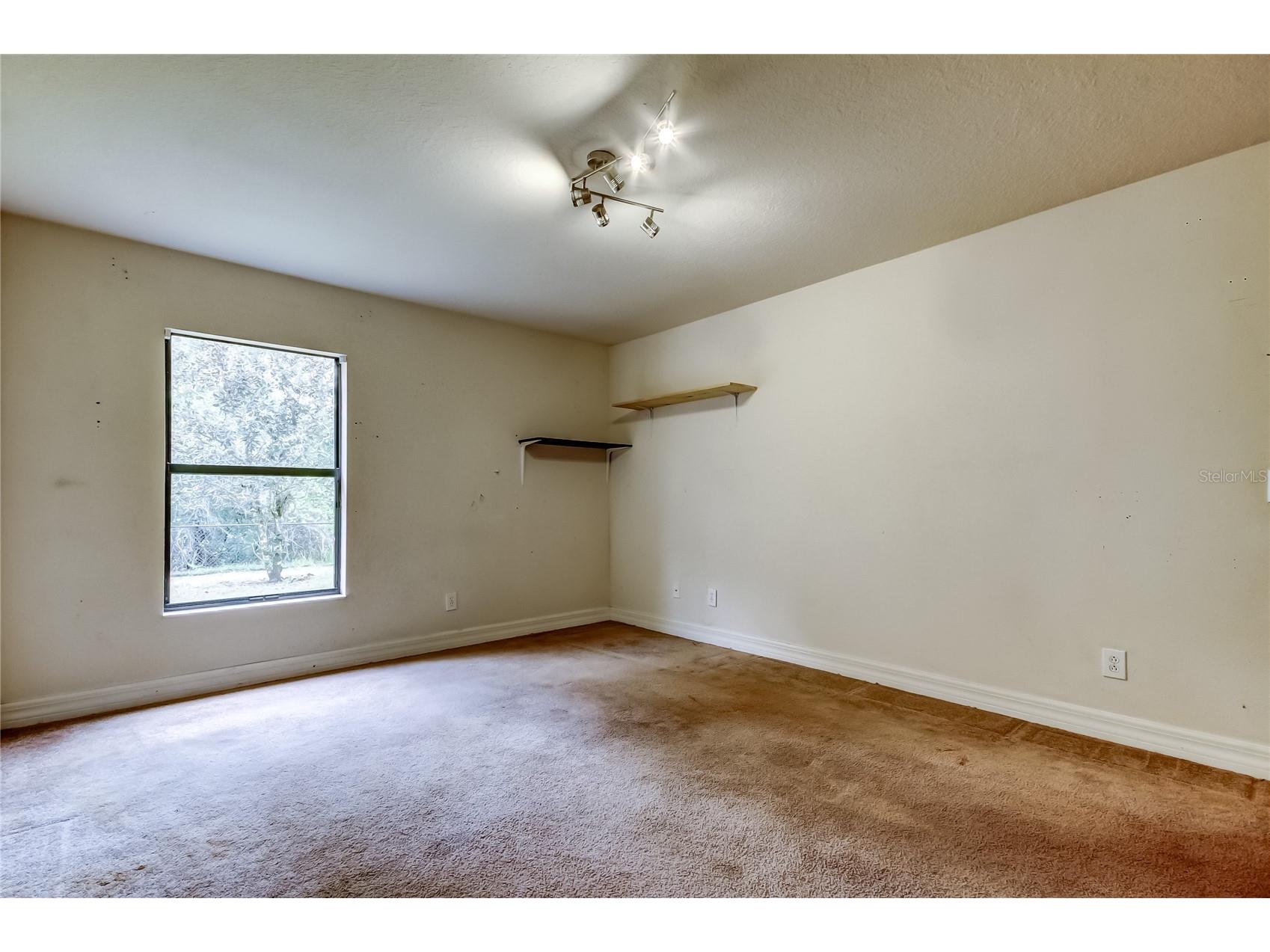 10820 Rain Lilly Pass Land O Lakes FL 34638 TB8483340 image28