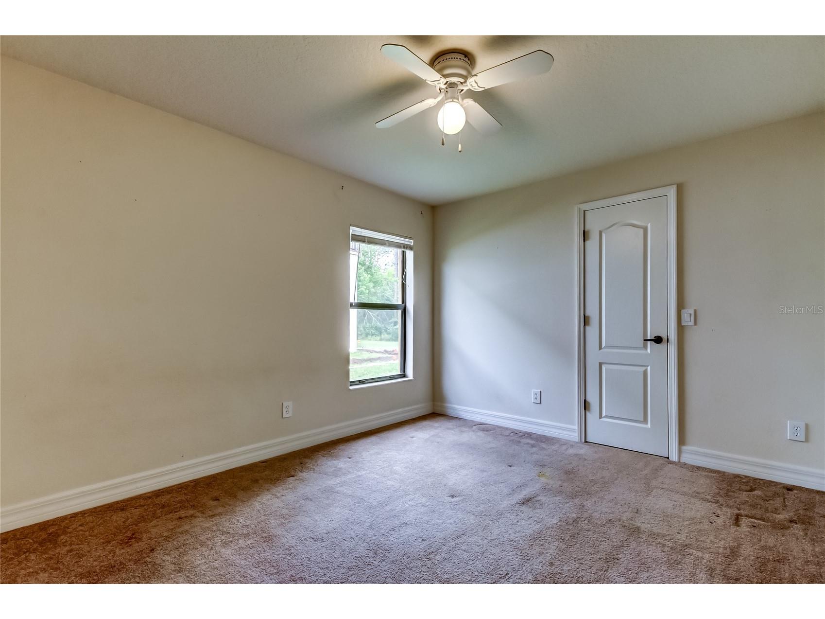 10820 Rain Lilly Pass Land O Lakes FL 34638 TB8483340 image34