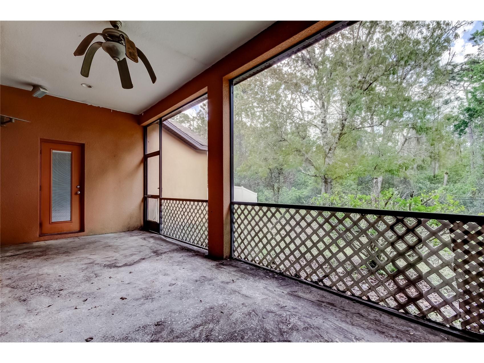 10820 Rain Lilly Pass Land O Lakes FL 34638 TB8483340 image36