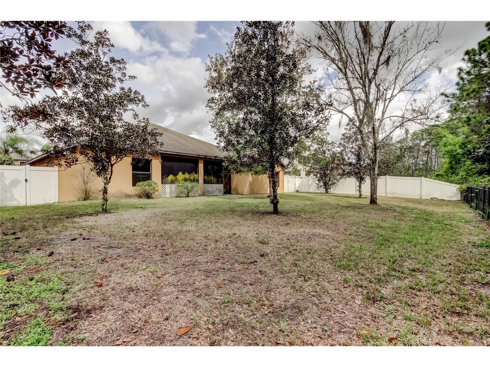 10820 Rain Lilly Pass Land O Lakes FL 34638 TB8483340 image39